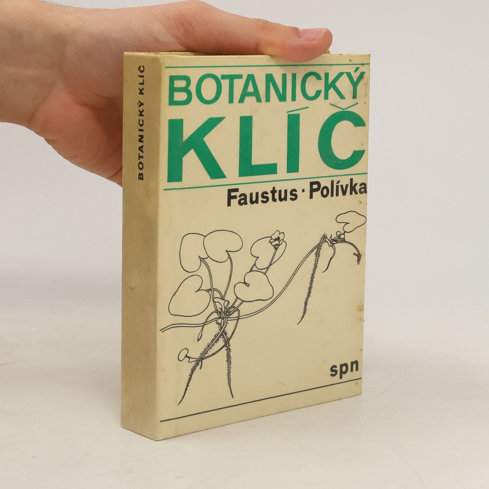 Botanický klíč