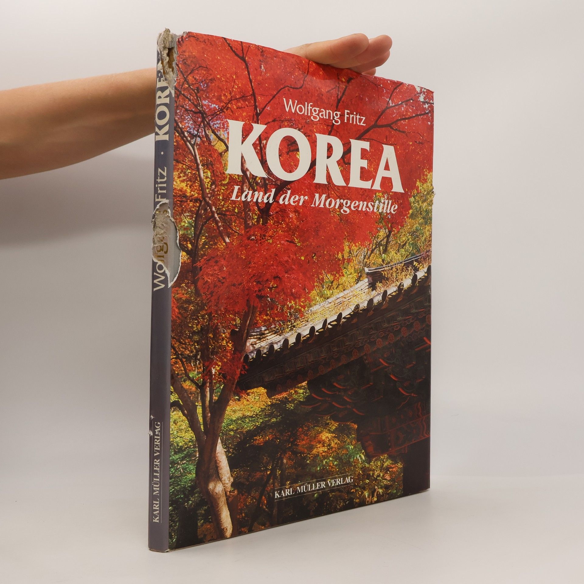 Wolfgang Fritz Korea