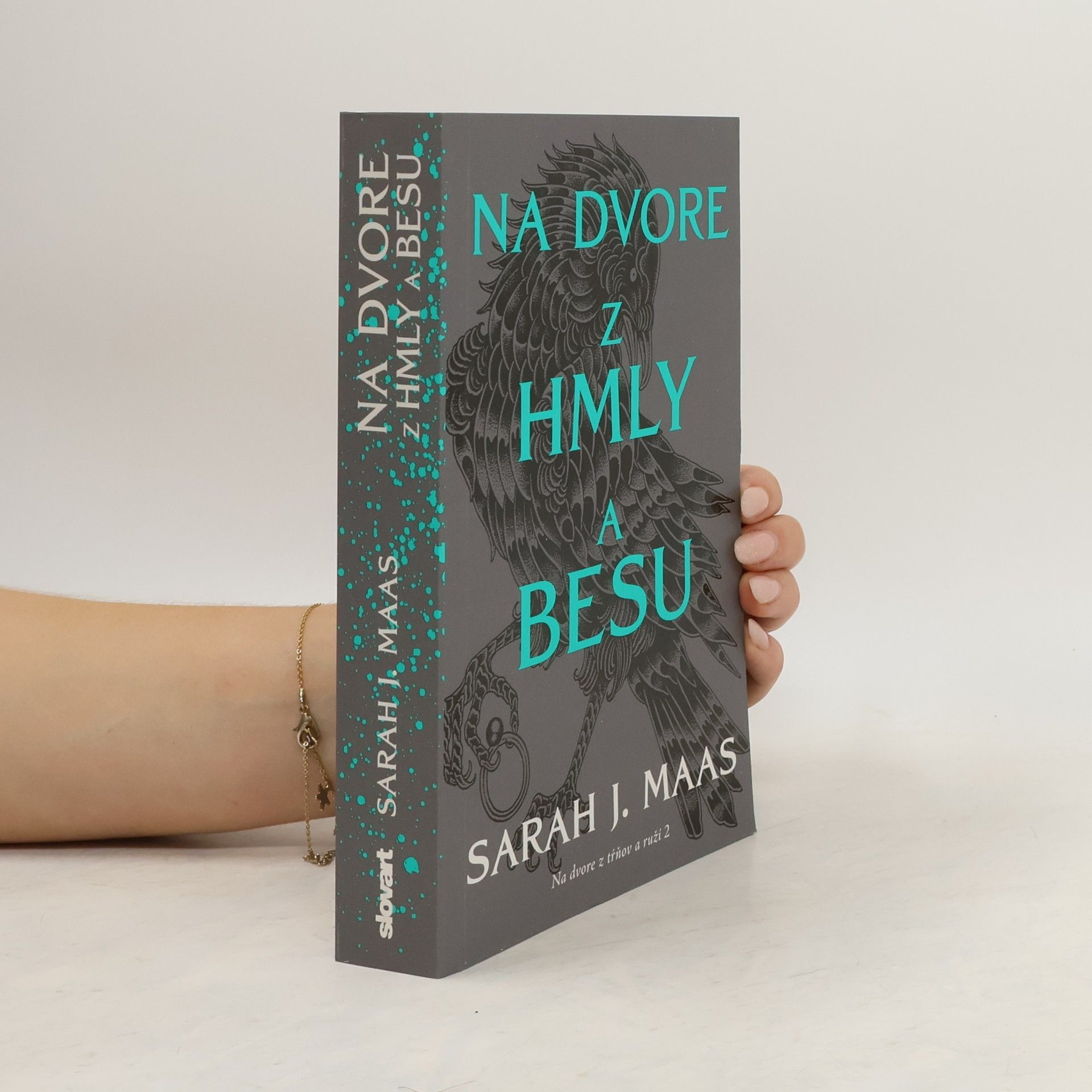 Sarah J. Maas Na dvore z hmly a besu