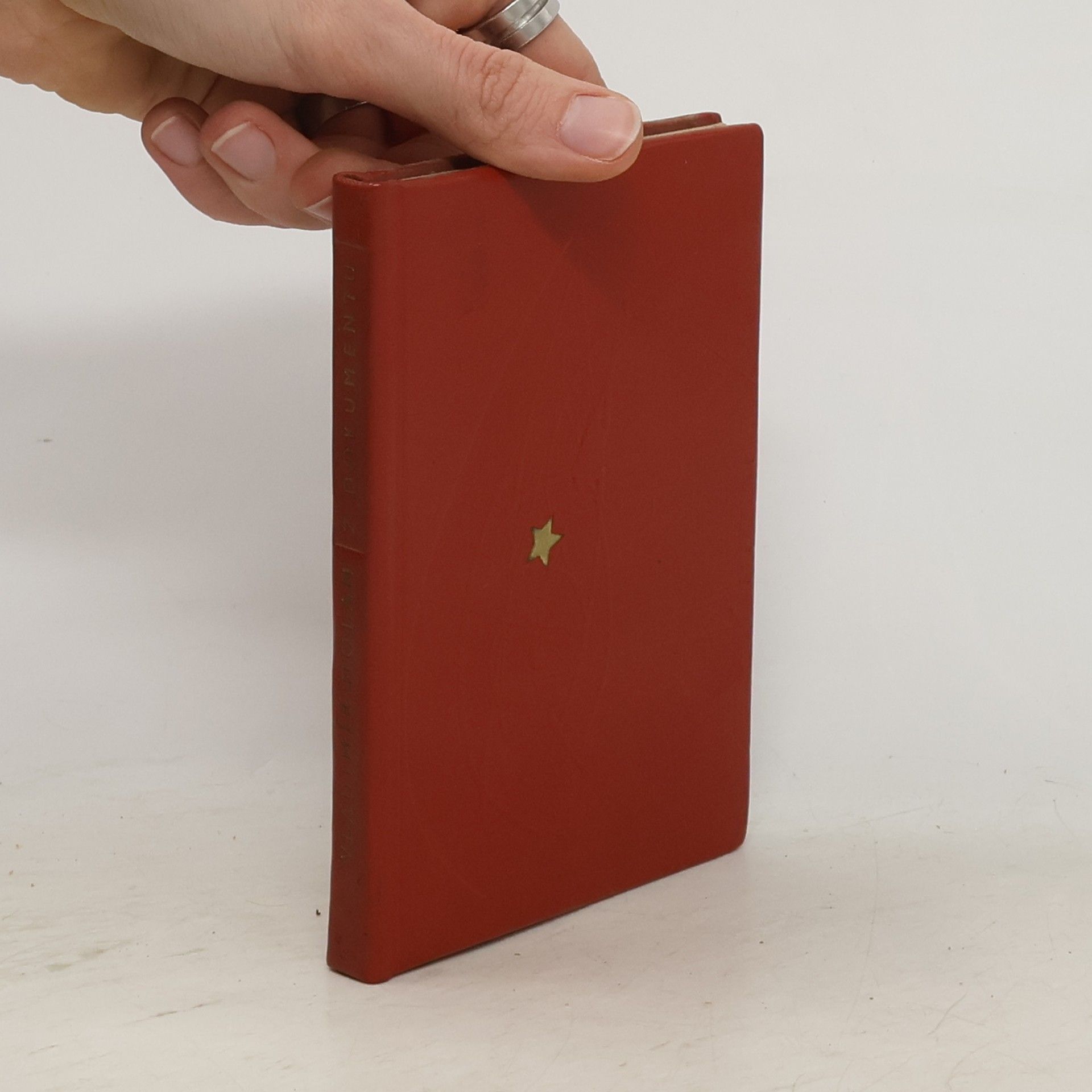 Vladimír Holan Z dokumentu