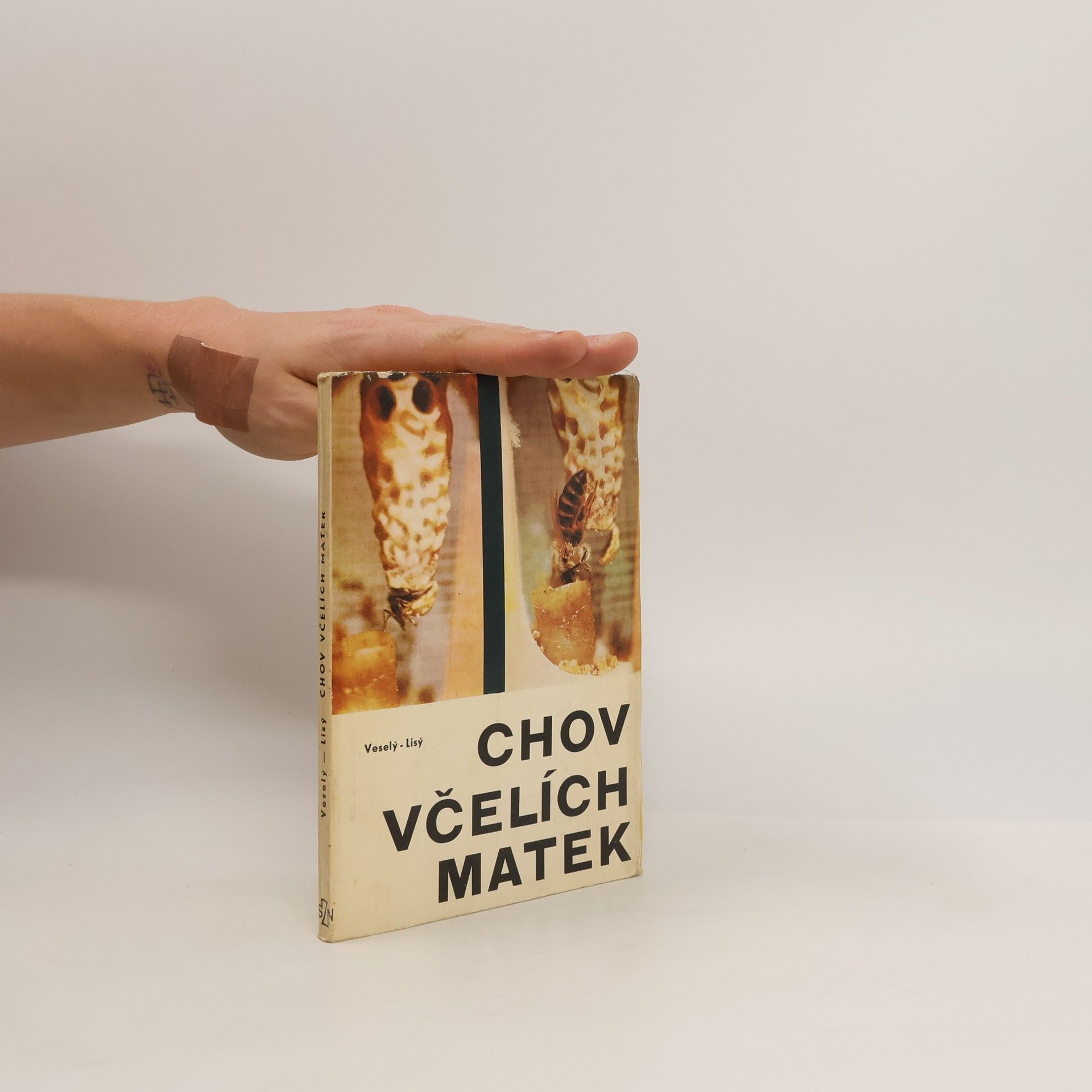 Chov včelích matek