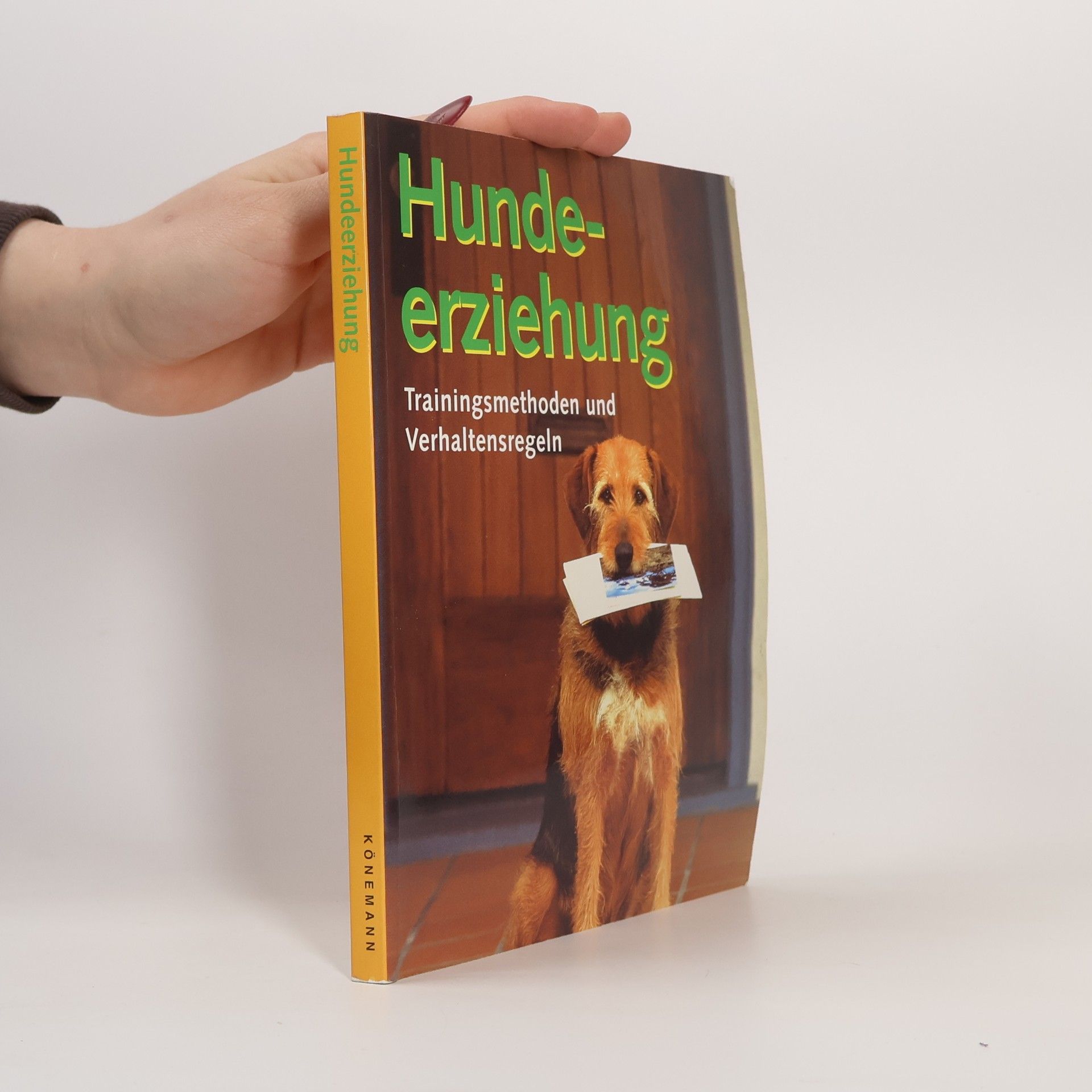 Matthew Hoffman Hundeerziehung. Trainingsmethoden und Verhaltensregeln