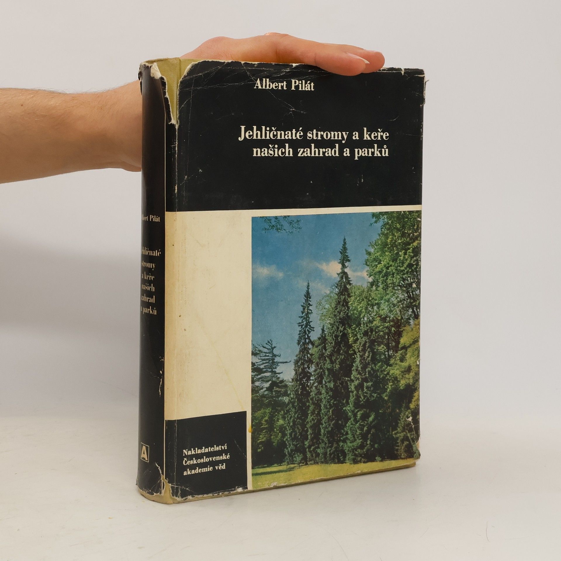 Albert Pilát Jehličnaté stromy a keře našich zahrad a parků