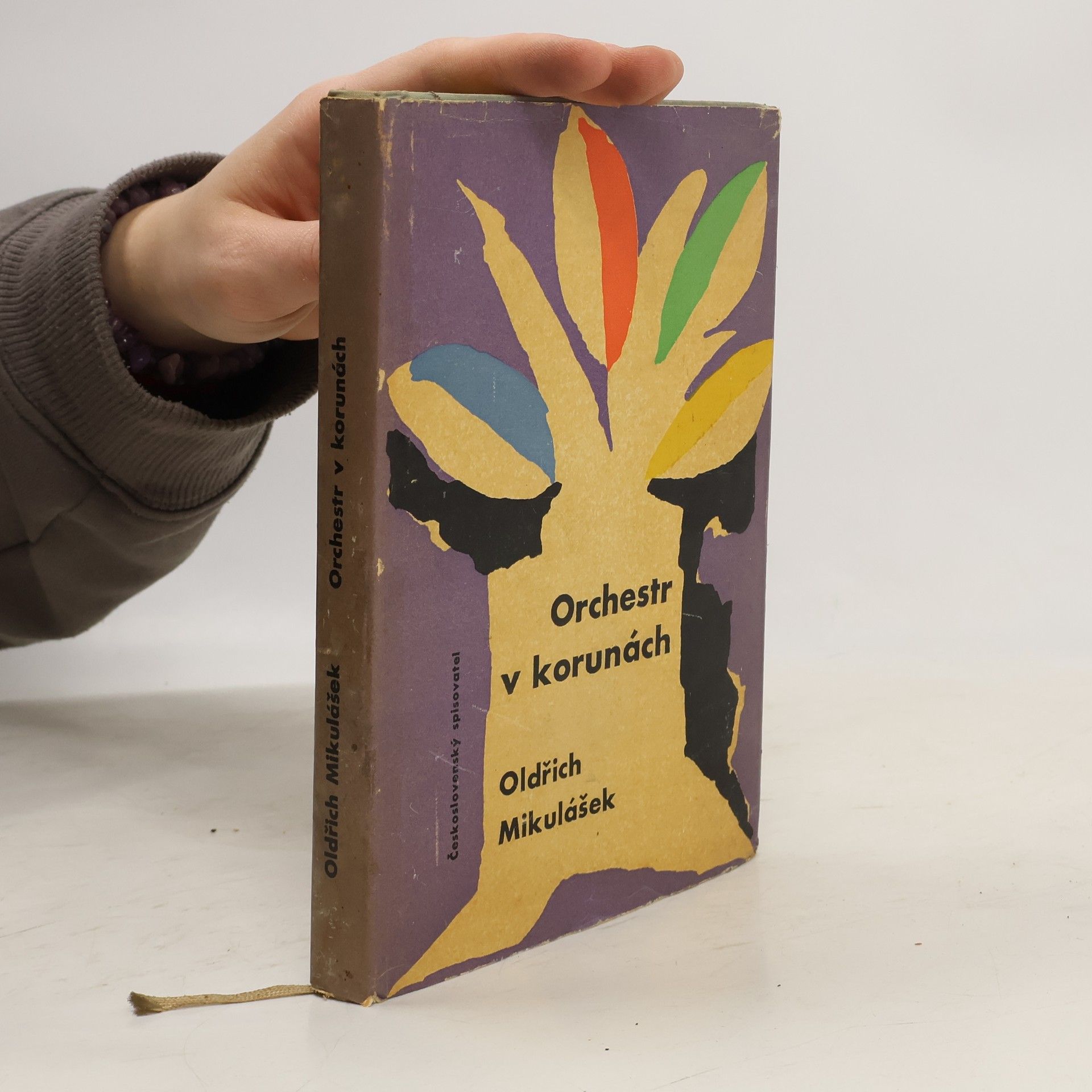 Oldřich Mikulášek Orchestr v korunách