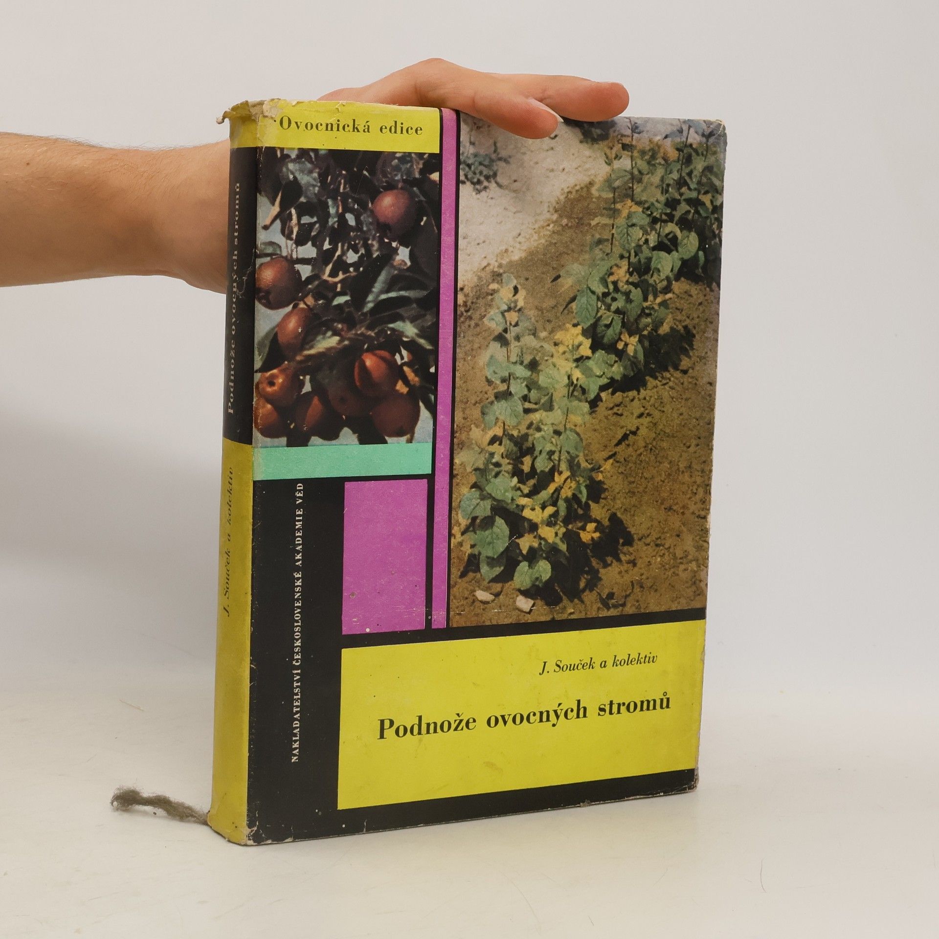 Josef Souček Podnože ovocných stromů