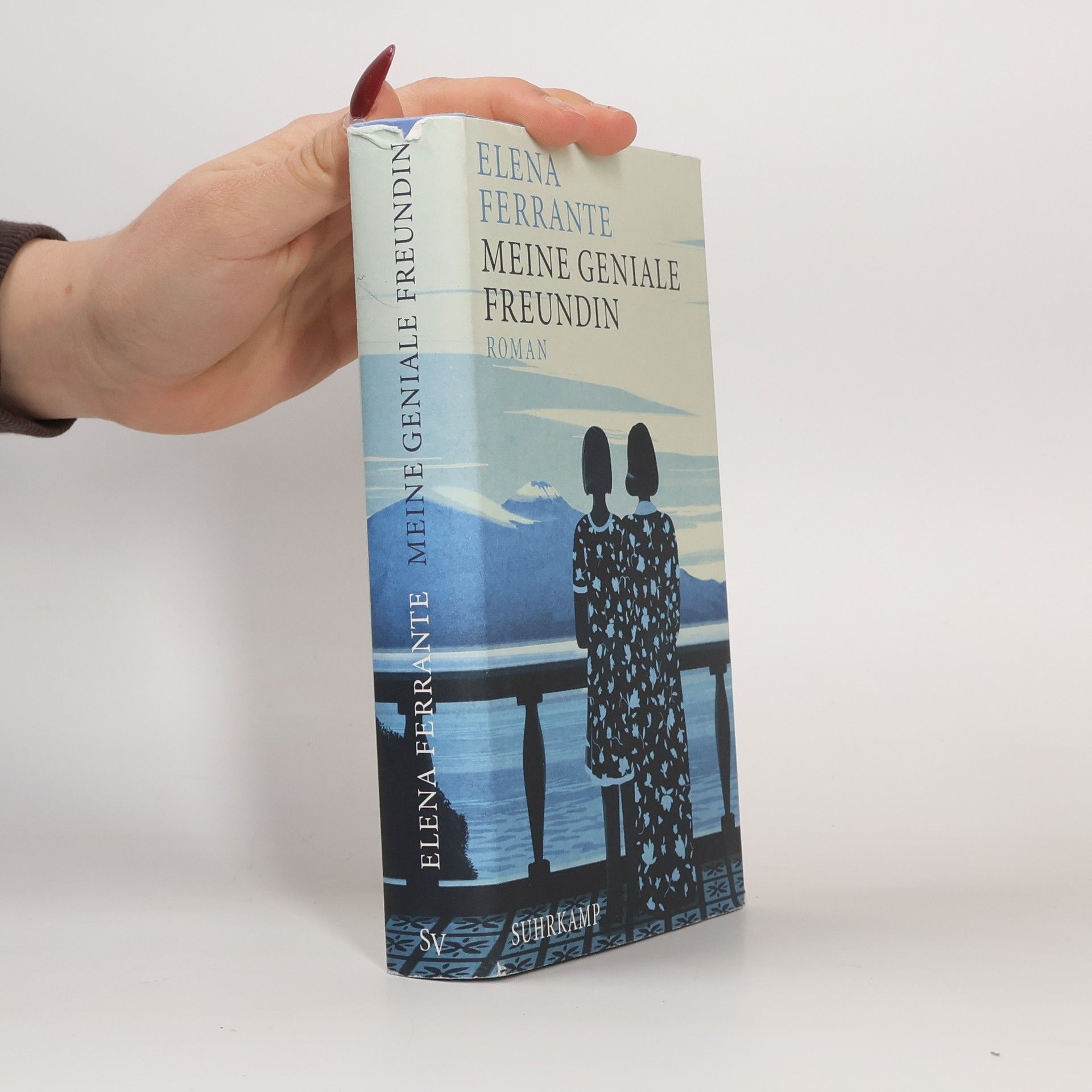 Elena Ferrante Meine geniale Freundin