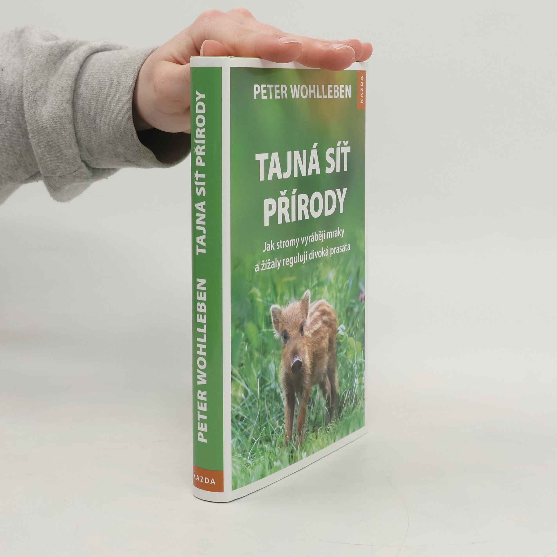 Peter Wohlleben Tajná síť přírody: Jak stromy vyrábějí mraky a žížaly regulují divoká prasata