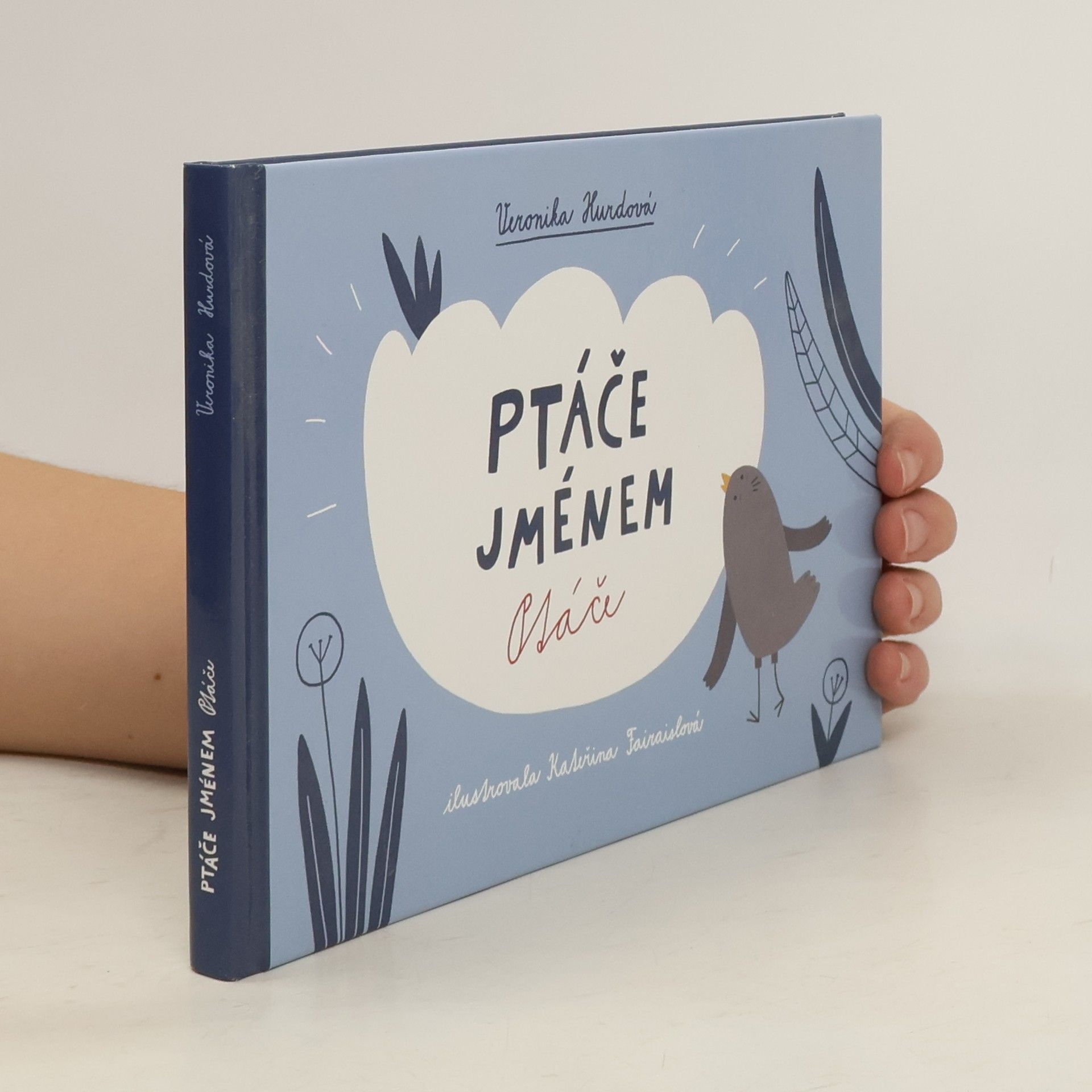 Ptáče jménem Ptáče