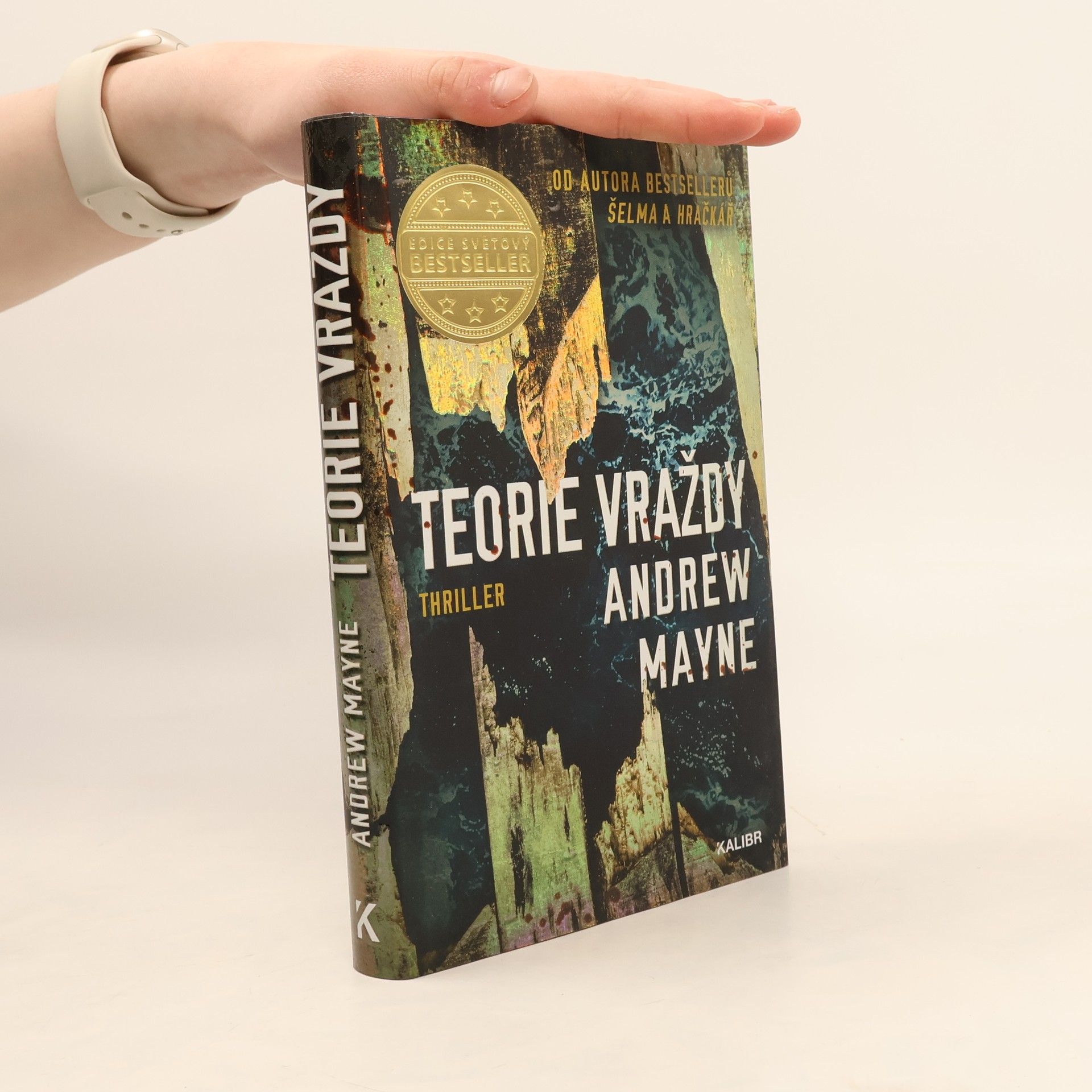 Andrew Mayne Teorie vraždy