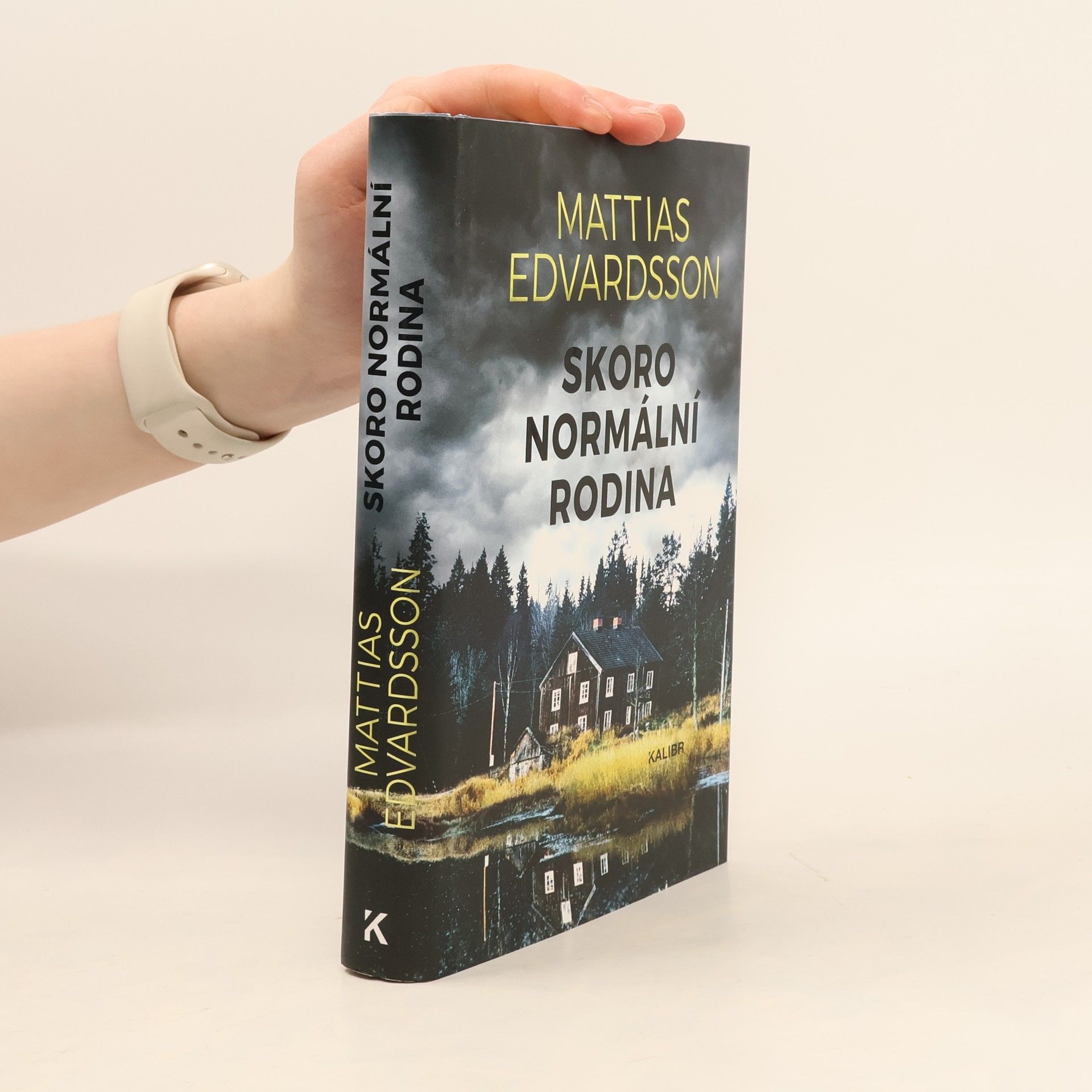 Mattias Edvardsson Skoro normální rodina