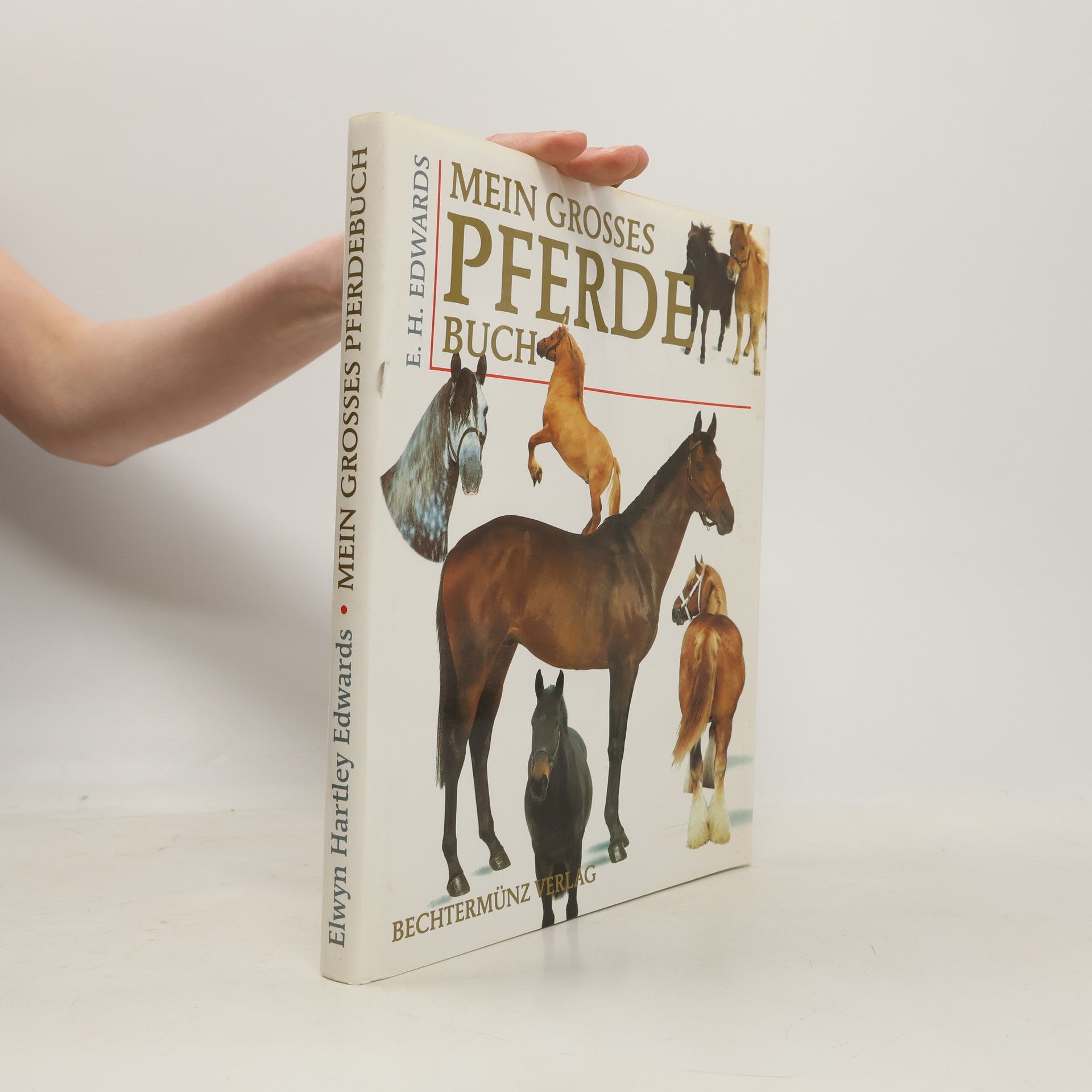 E. H. Edwards Mein grosses Pferdebuch