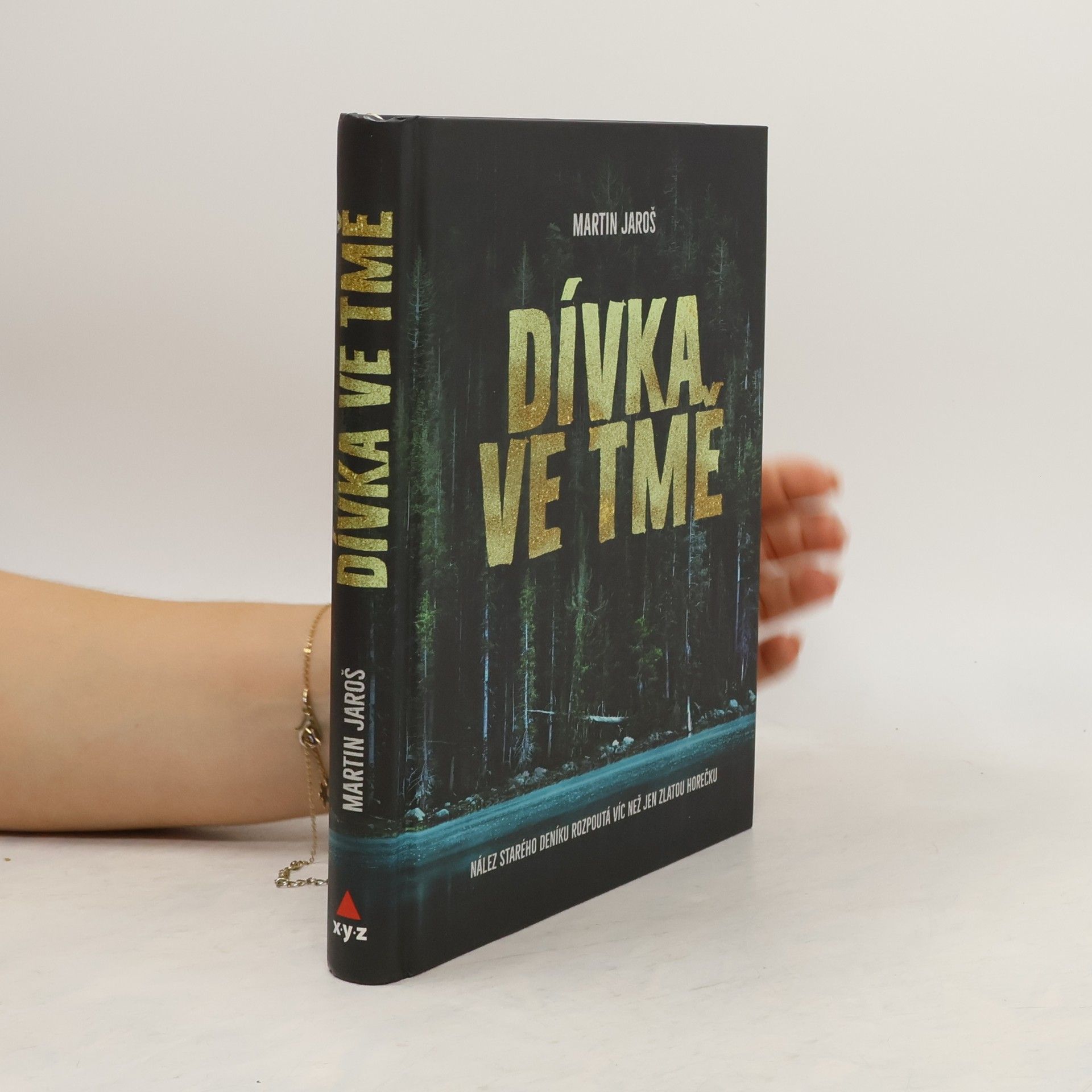 Martin Jaroš Dívka ve tmě