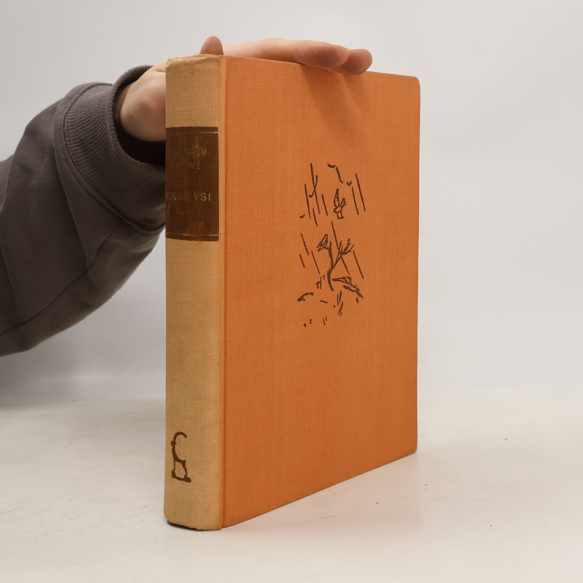 Alois Mrštík Rok na vsi