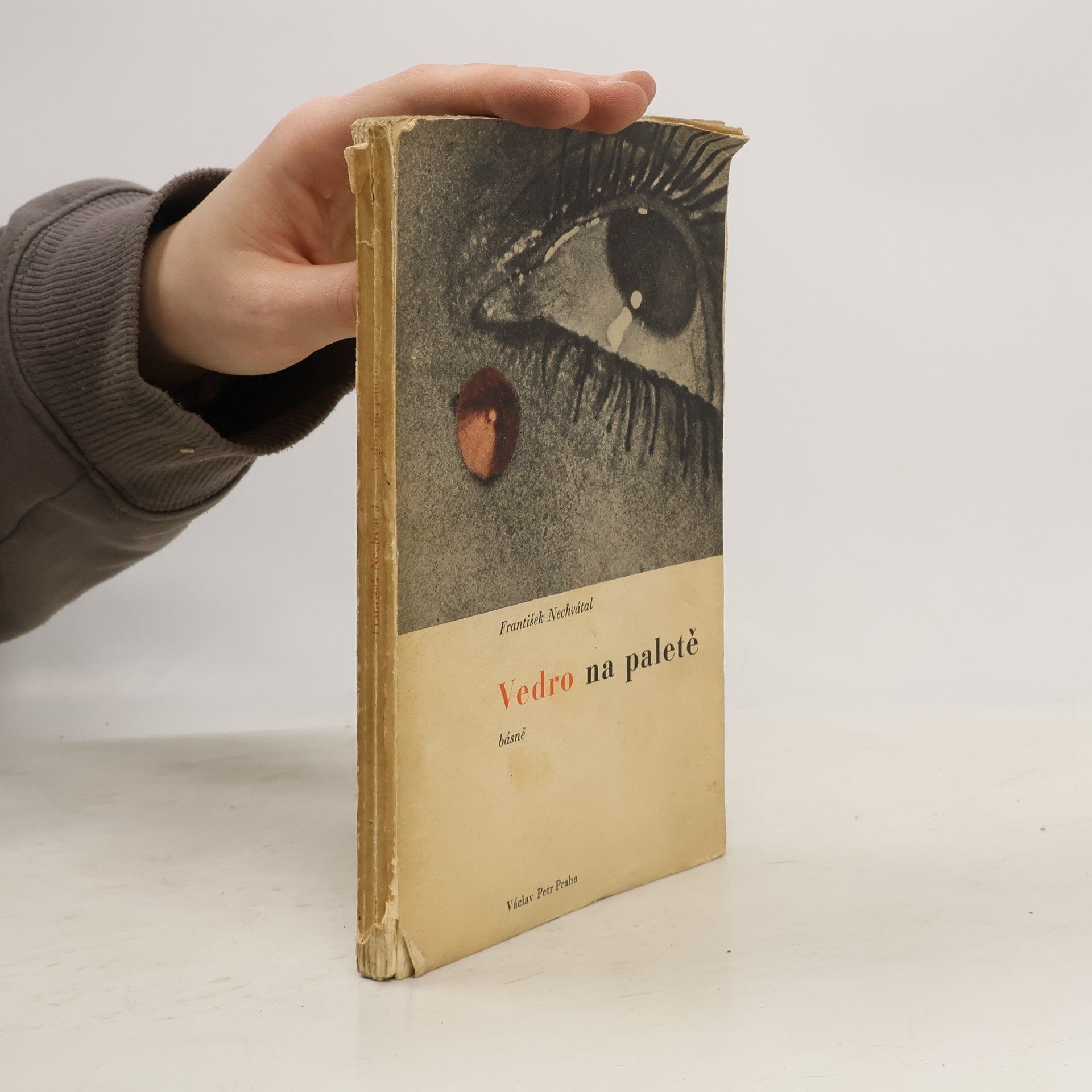 František Nechvátal Vedro na paletě