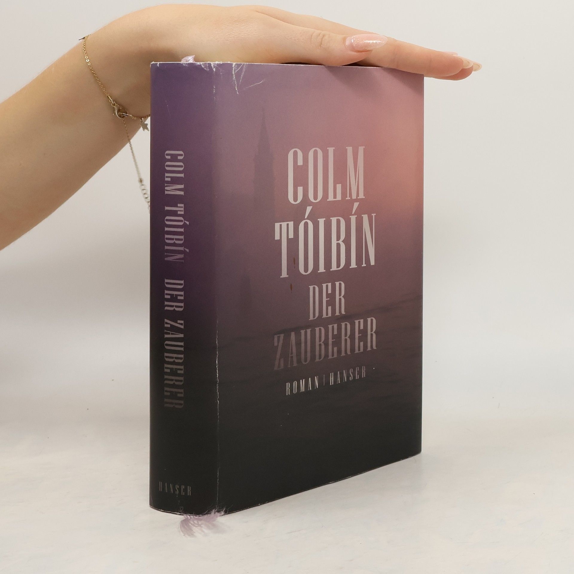 Colm Tóibín Der Zauberer