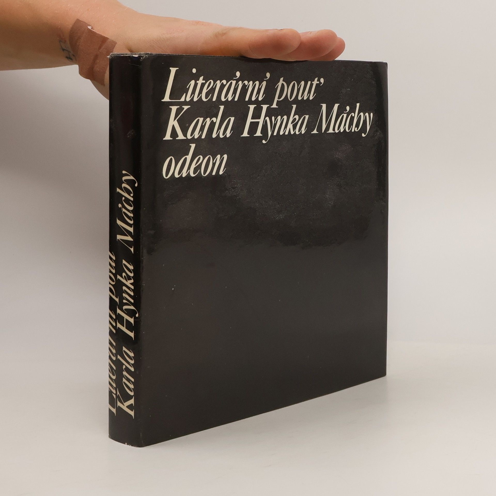 Pavel Vašák Literární pouť Karla Hynka Máchy : Ohlas Máchova díla v letech 1836-1858