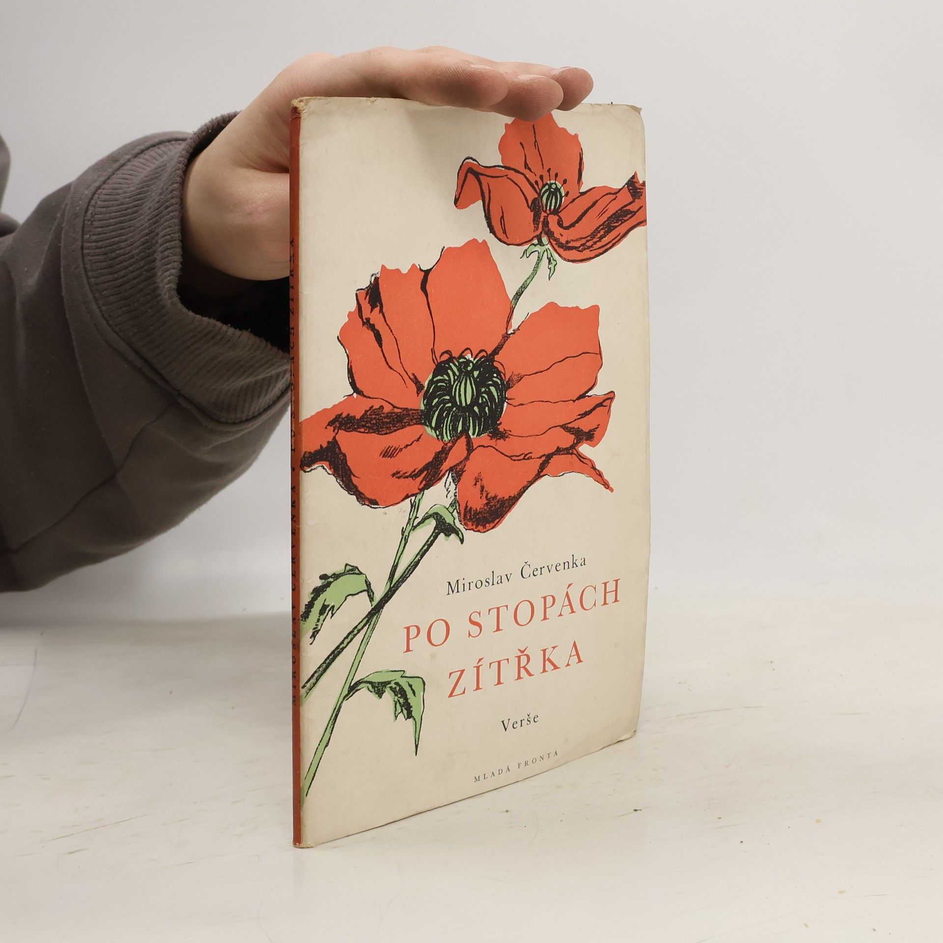 Miroslav Červenka Po stopách zítřka