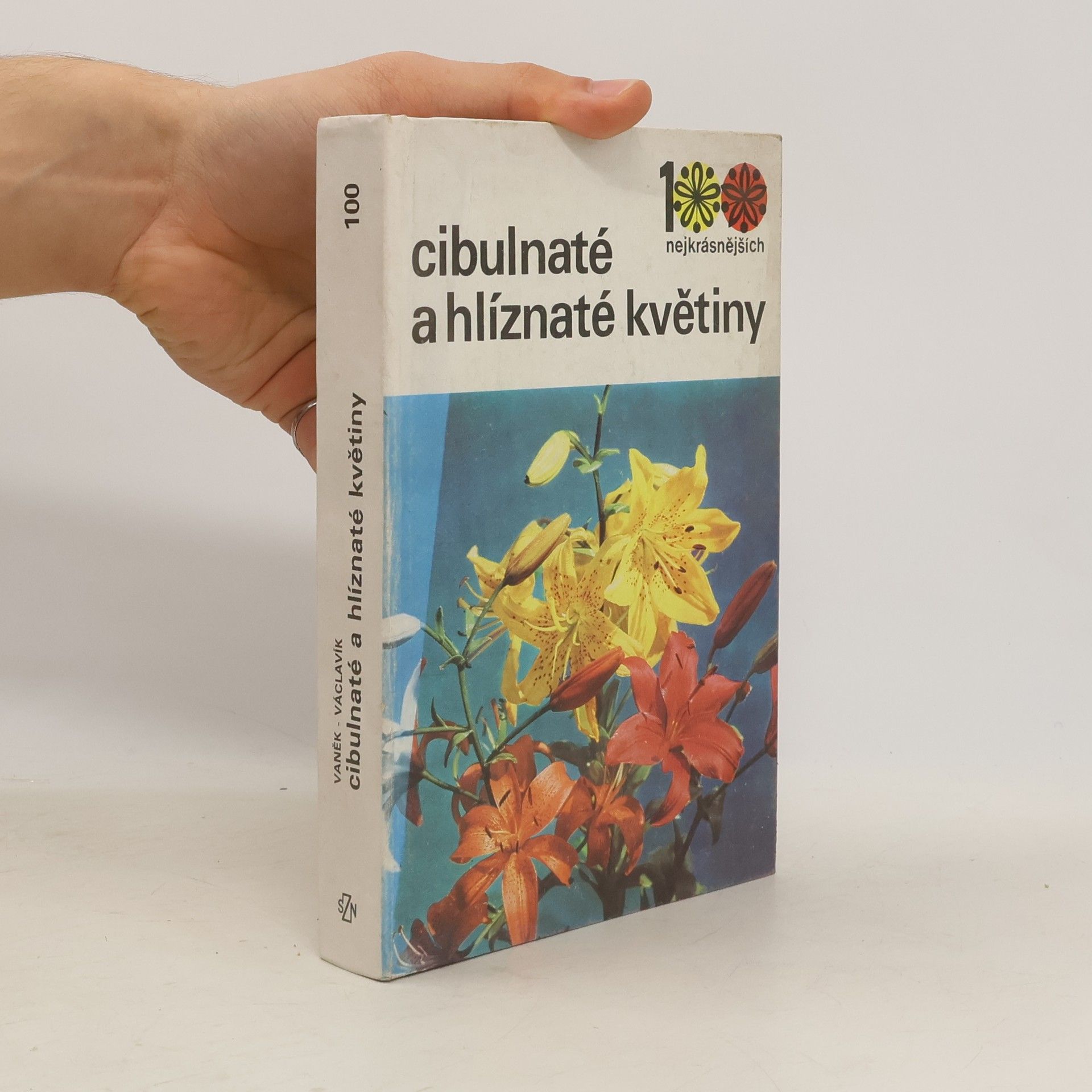 Cibulnaté a hlíznaté květiny