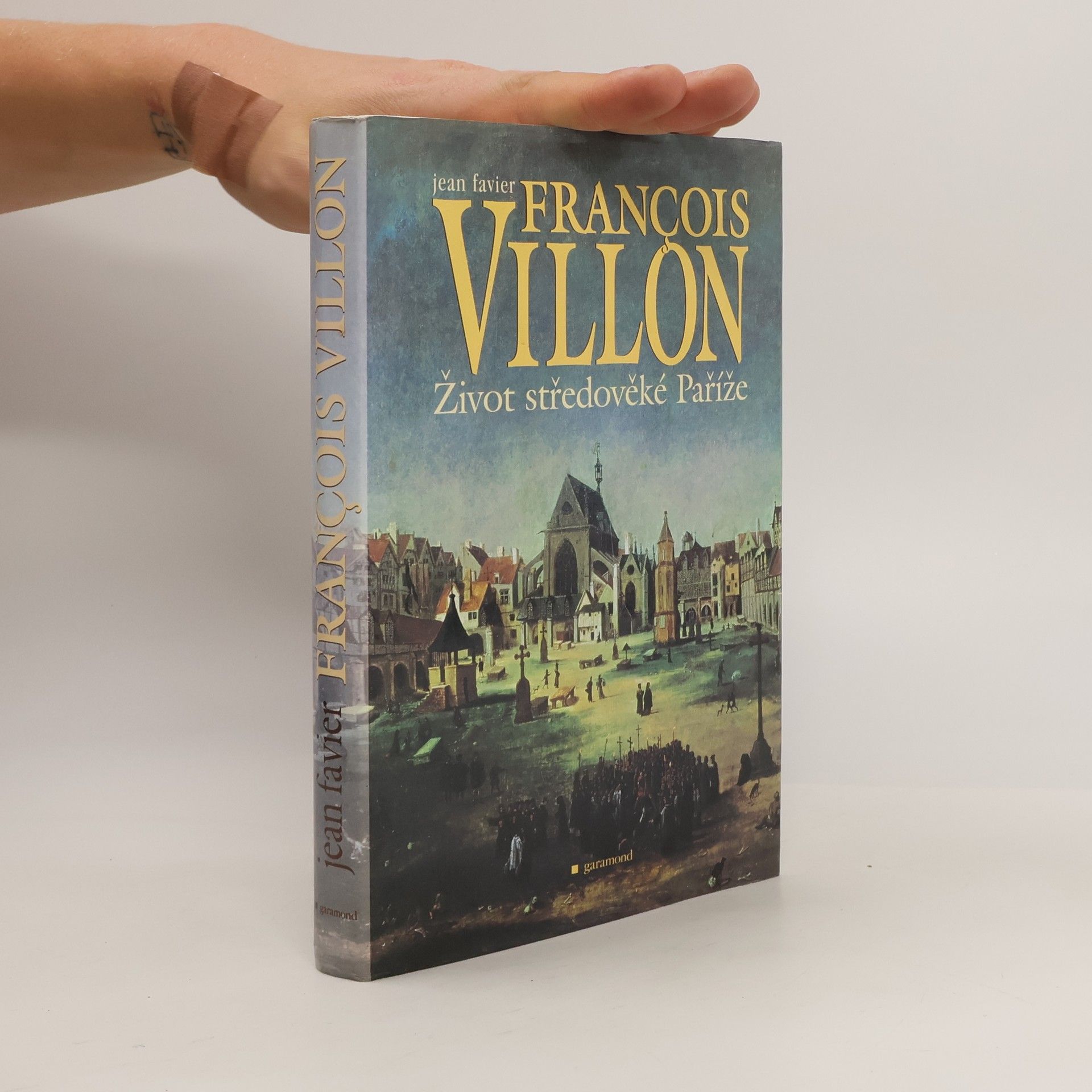 Jean Favier Francois Villon