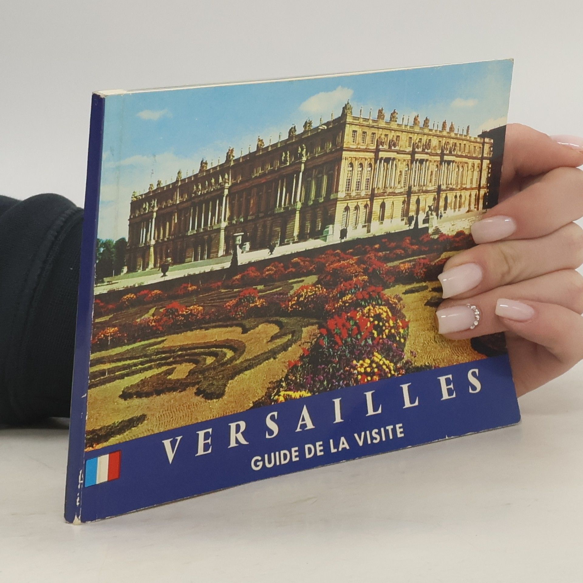 Kolektiv autorů Versailles : Guide de la Visite