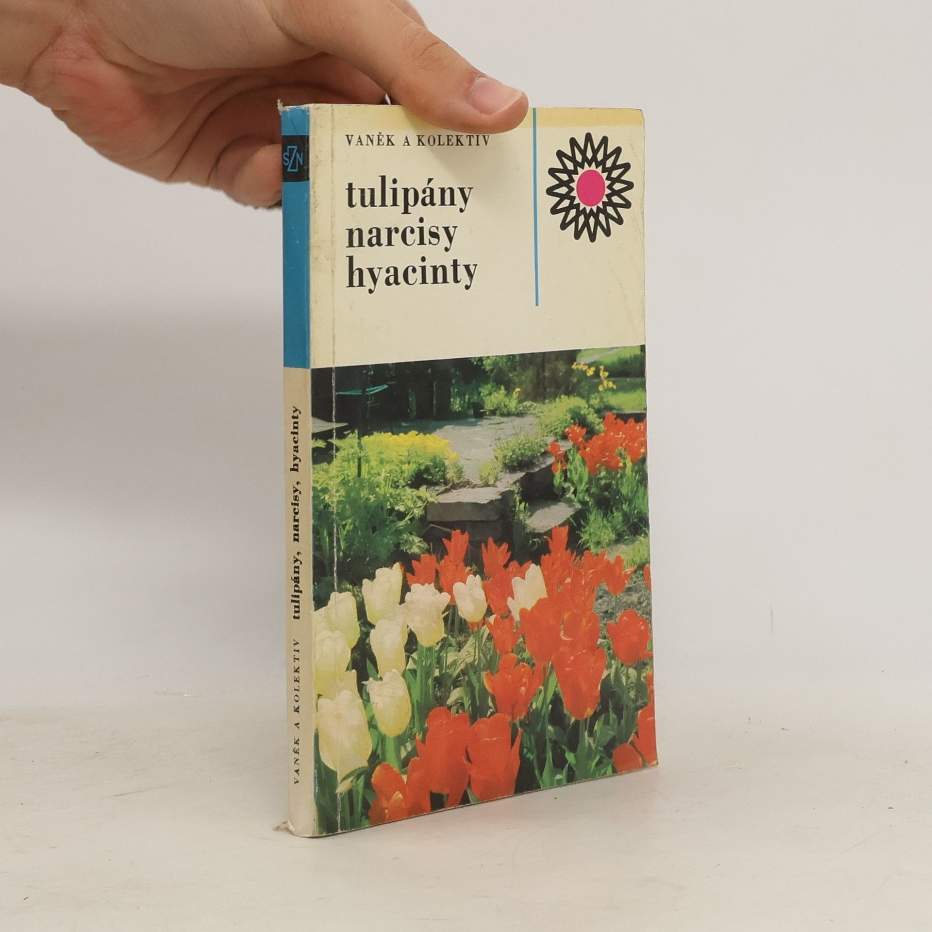 Vlastimil Vaněk Tulipány, narcisy, hyacinty