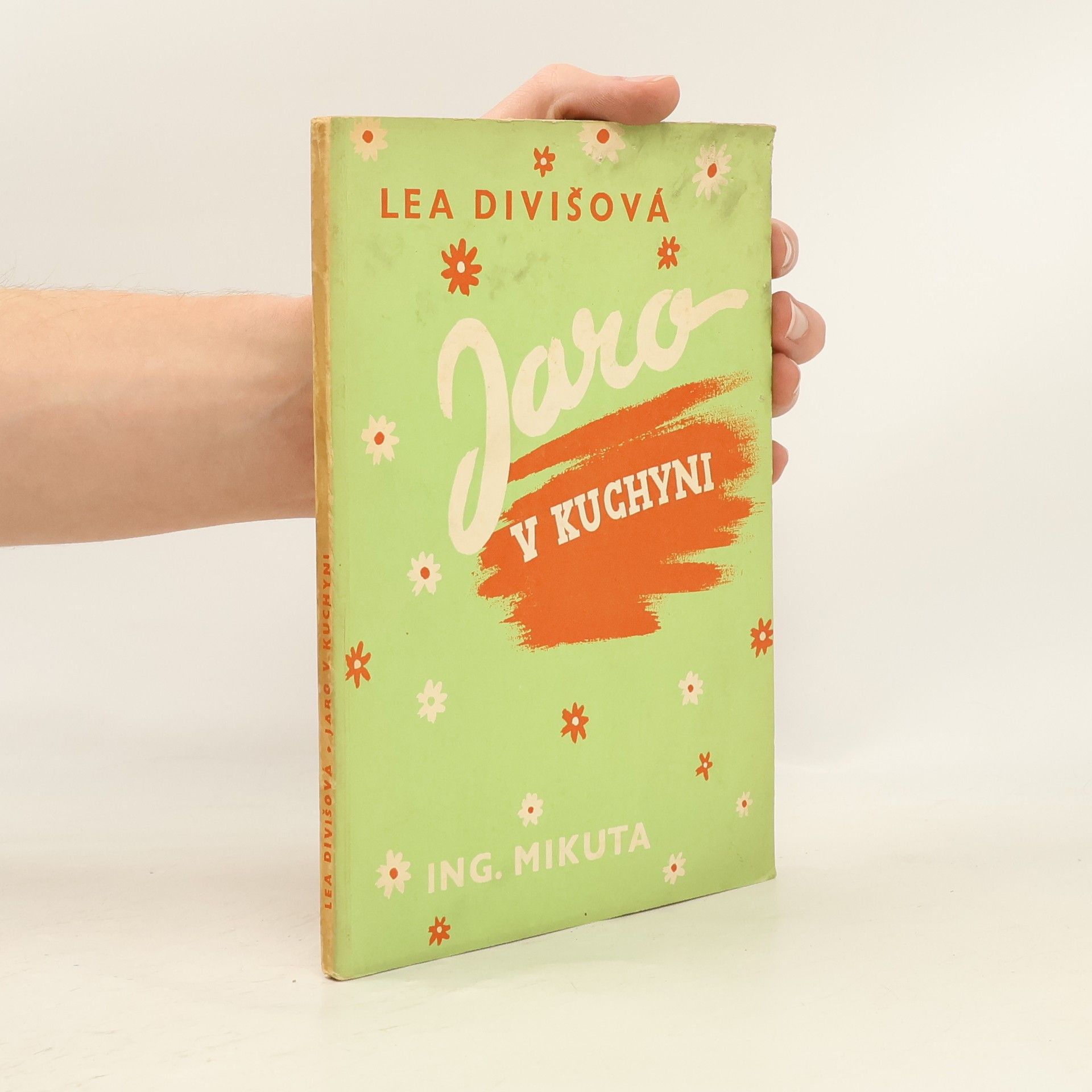 Lea Divišová Jaro v kuchyni