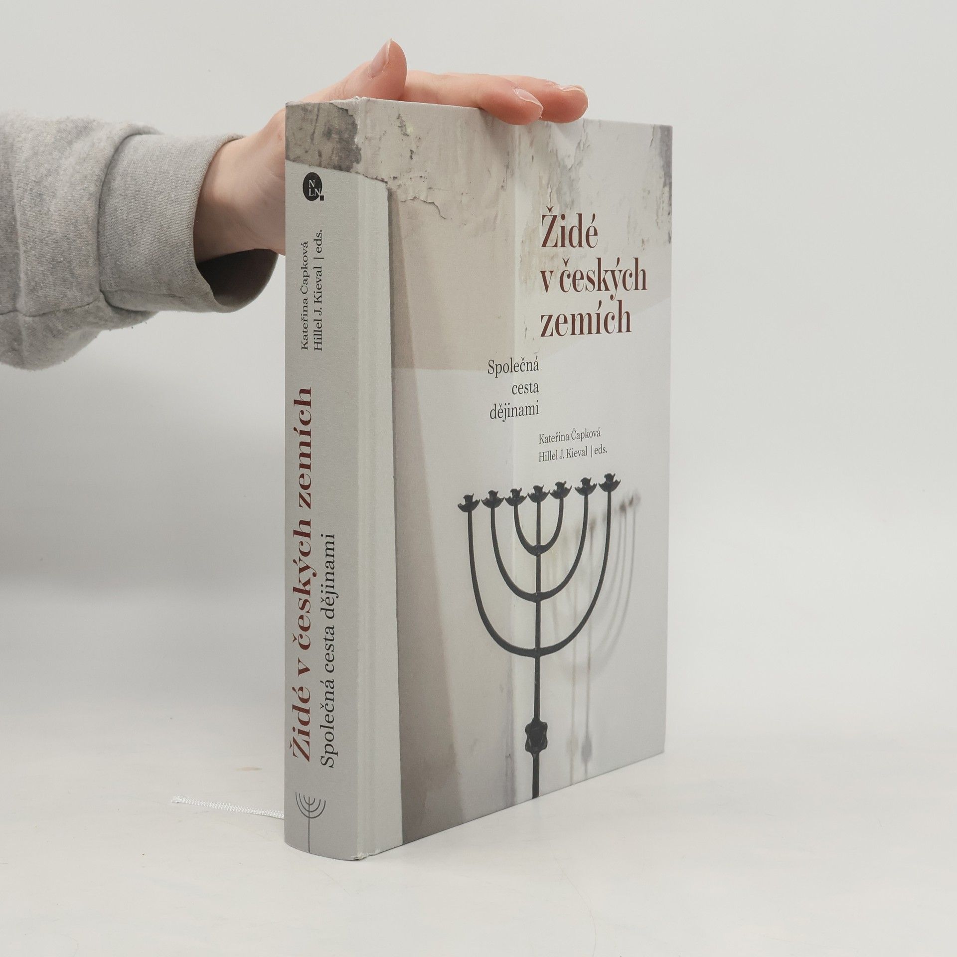 Kateřina Čapková Židé v českých zemích