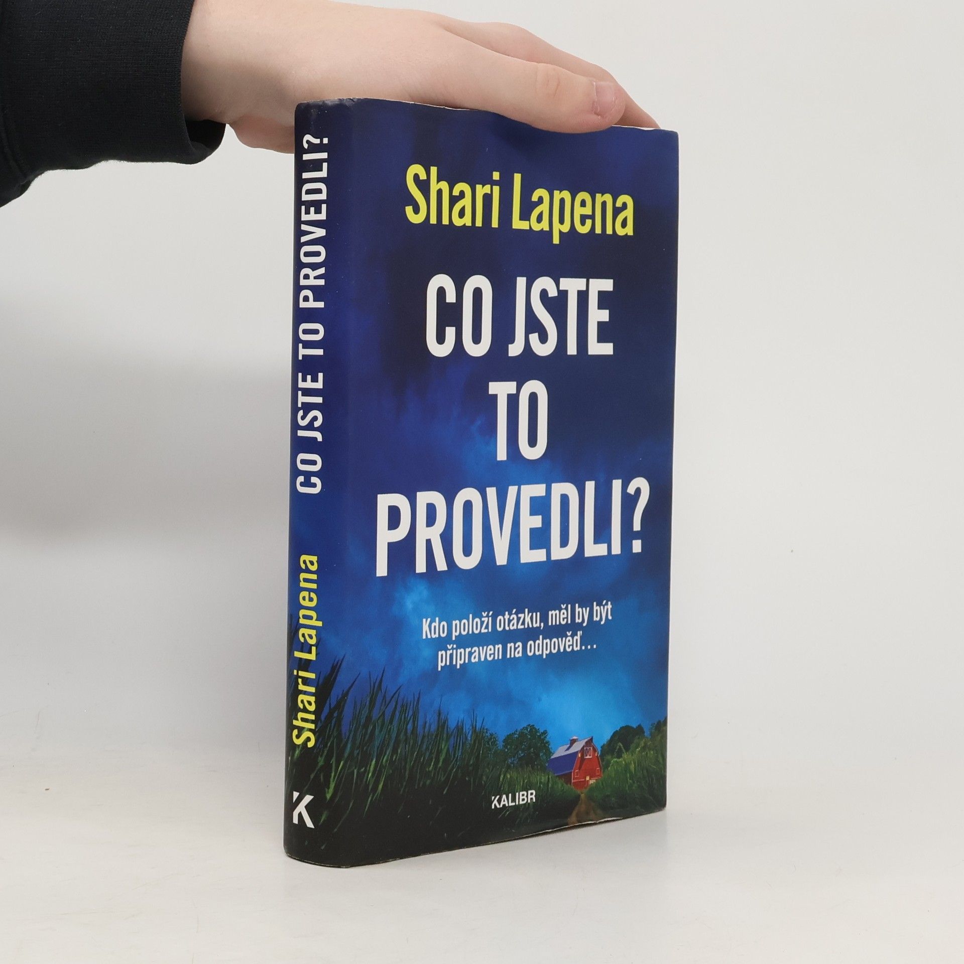 Shari Lapena Co jste to provedli?