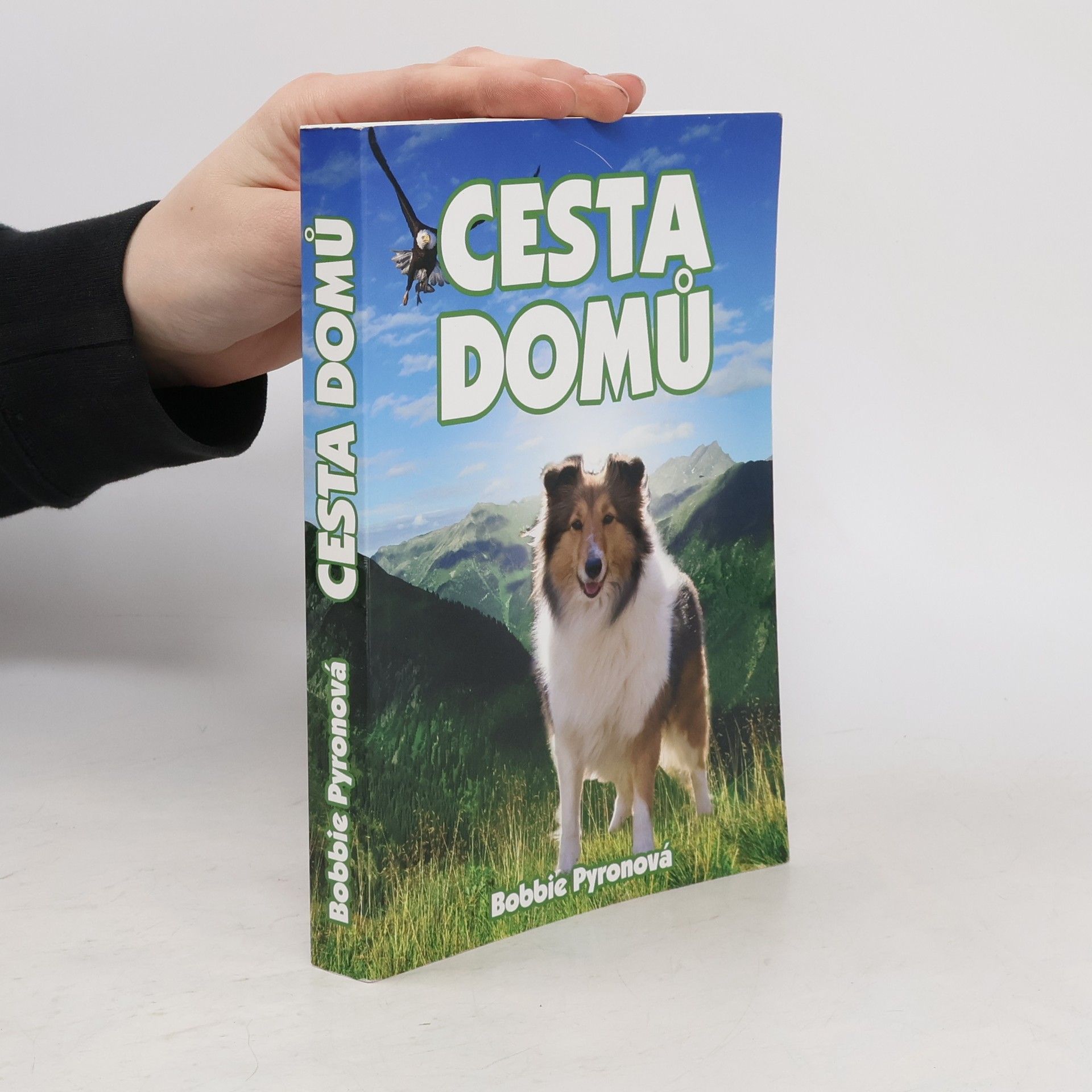 Bobbie Pyron Cesta domů