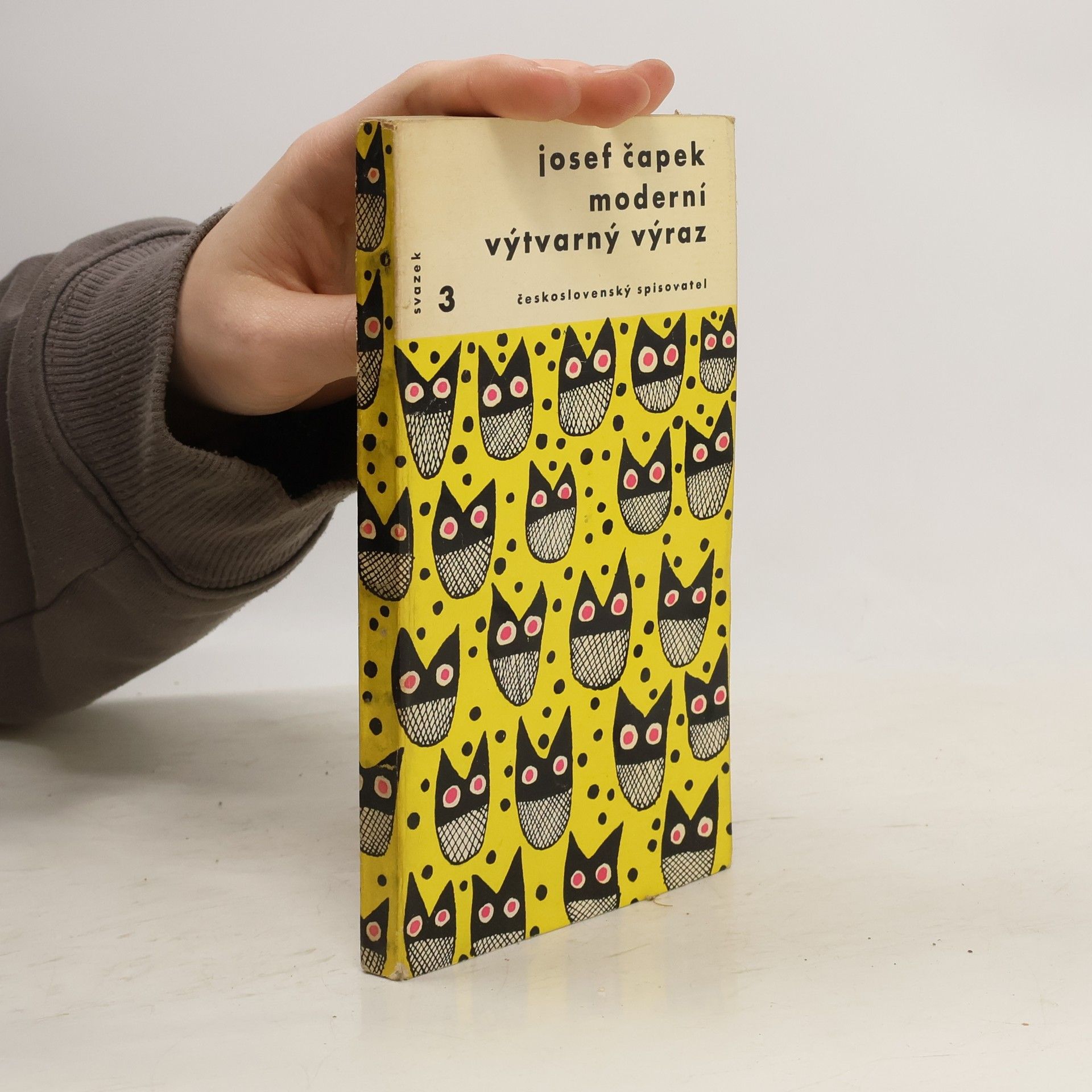 Josef Čapek Moderní výtvarný výraz