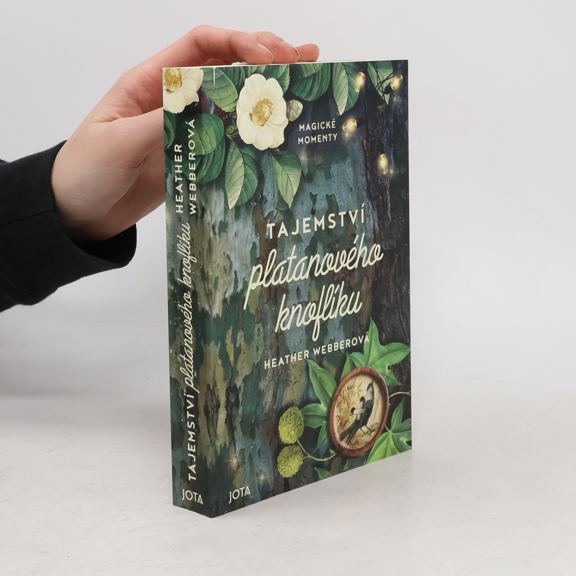 Tajemství platanového knoflíku