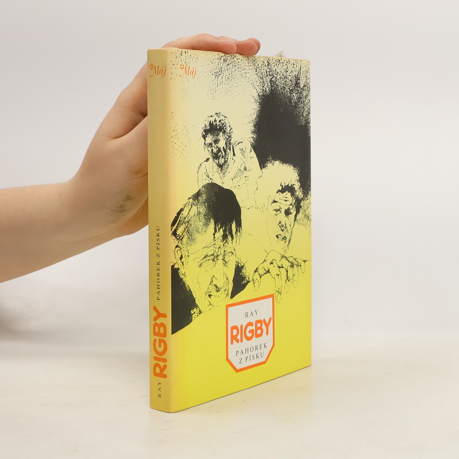 Ray Rigby Pahorek z písku