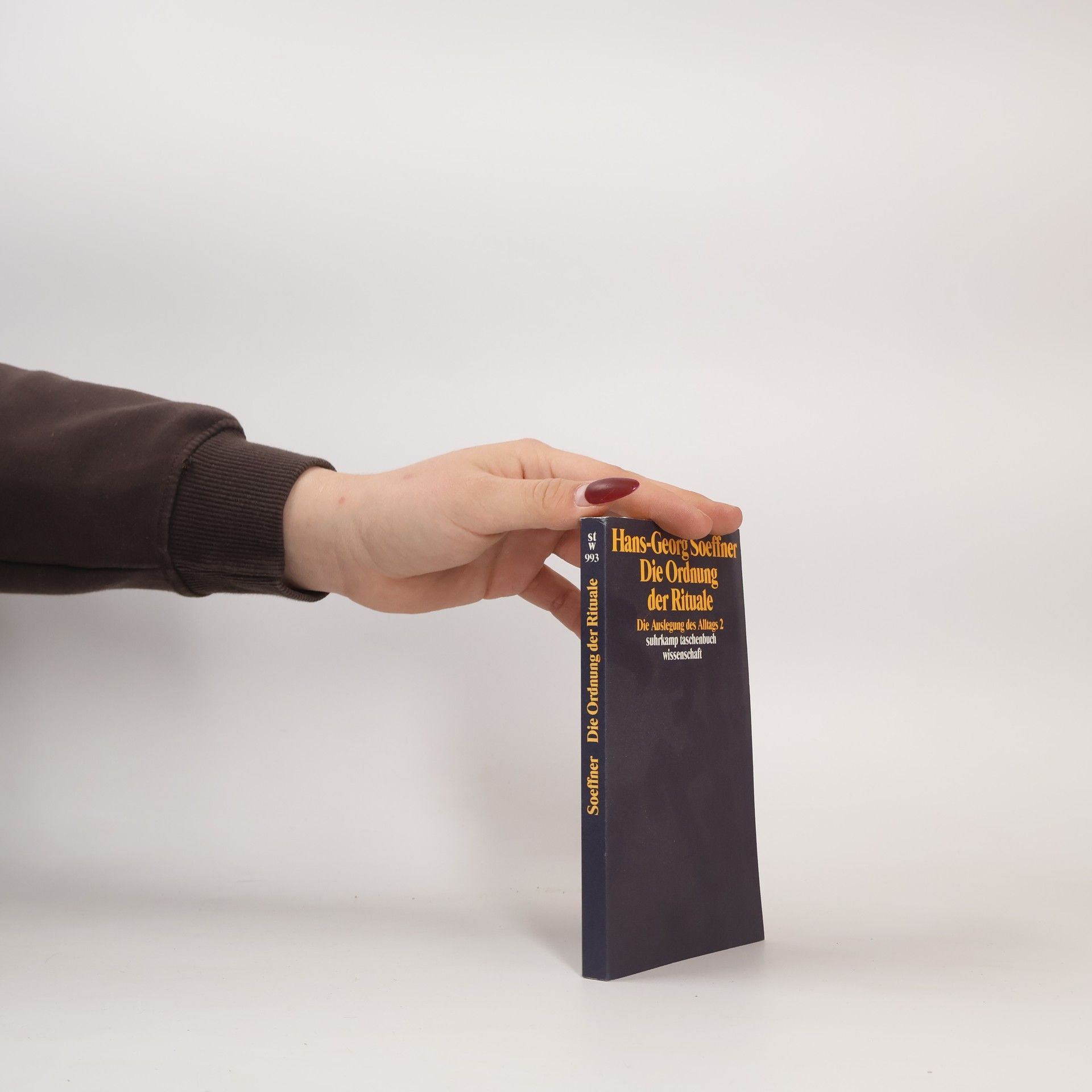 Hans-Georg Soeffner Die Auslegung des Alltags