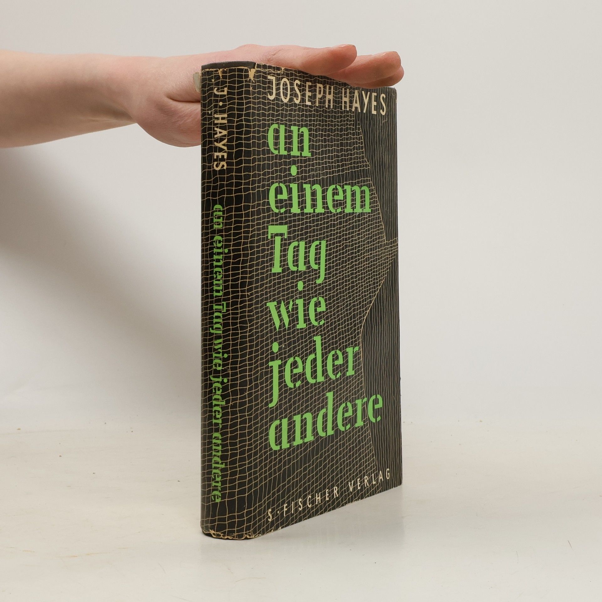 Joseph Hayes An einem Tag wie jeder andere