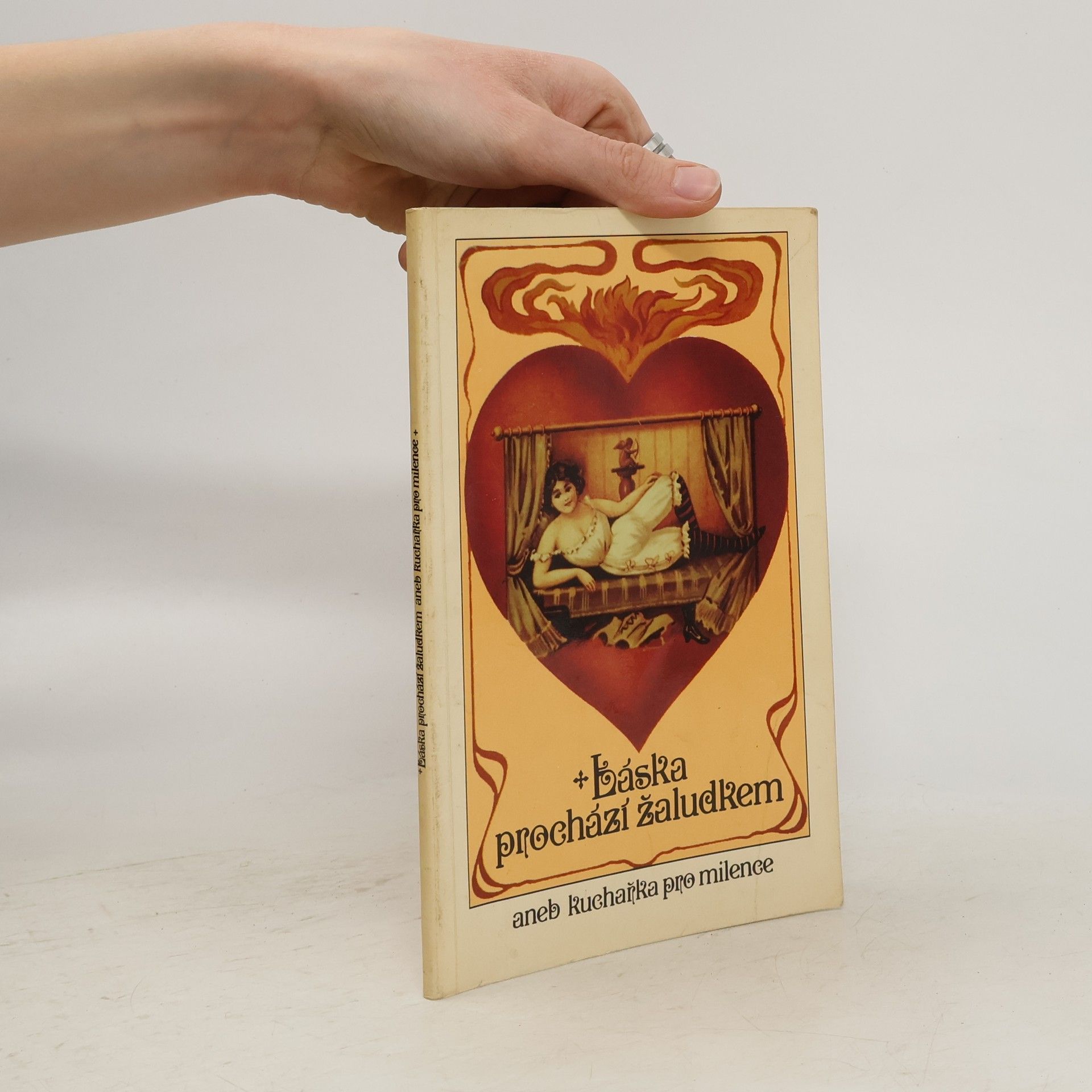 Michal Houba Láska prochází žaludkem aneb kuchařka pro milence