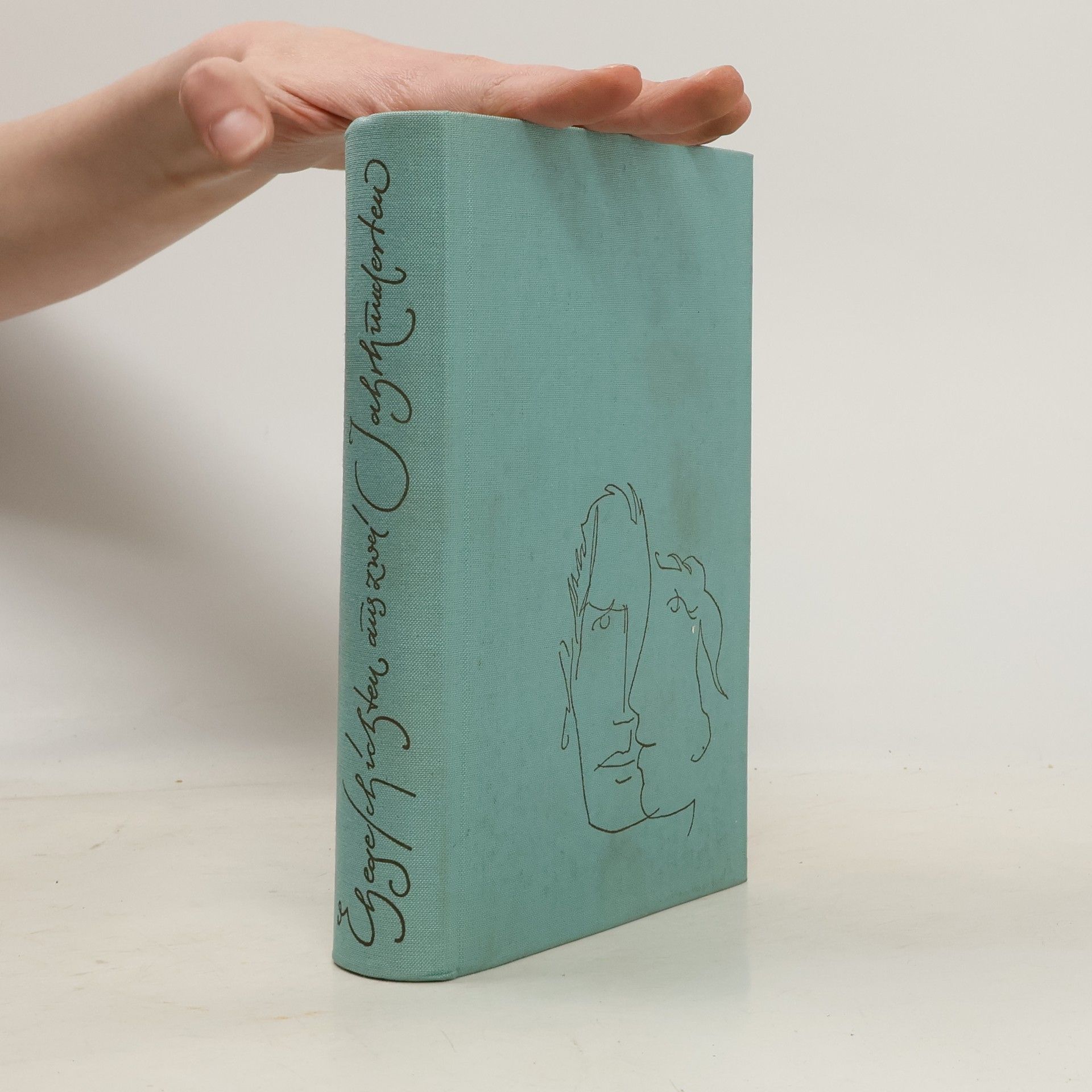 Autorenkollektiv Geschichten aus zwei Jahrhunderten