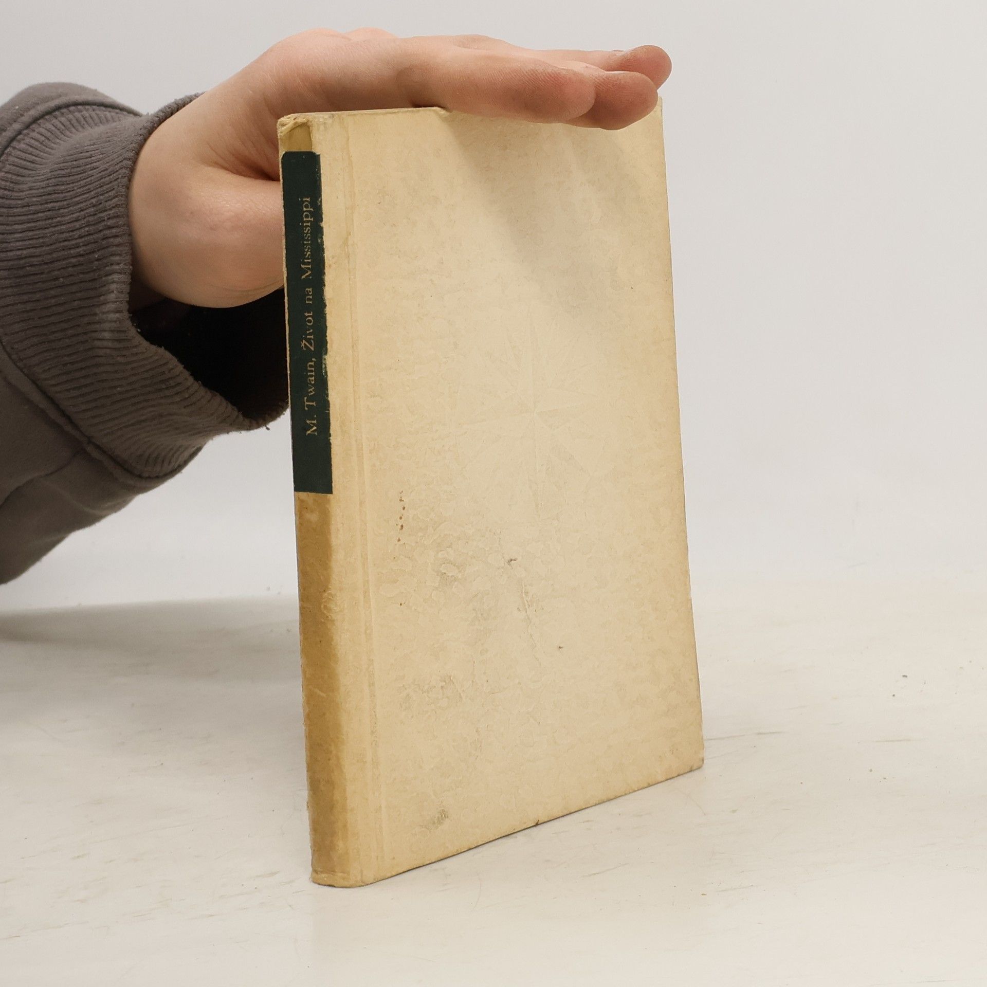 Mark Twain Život na Mississippi