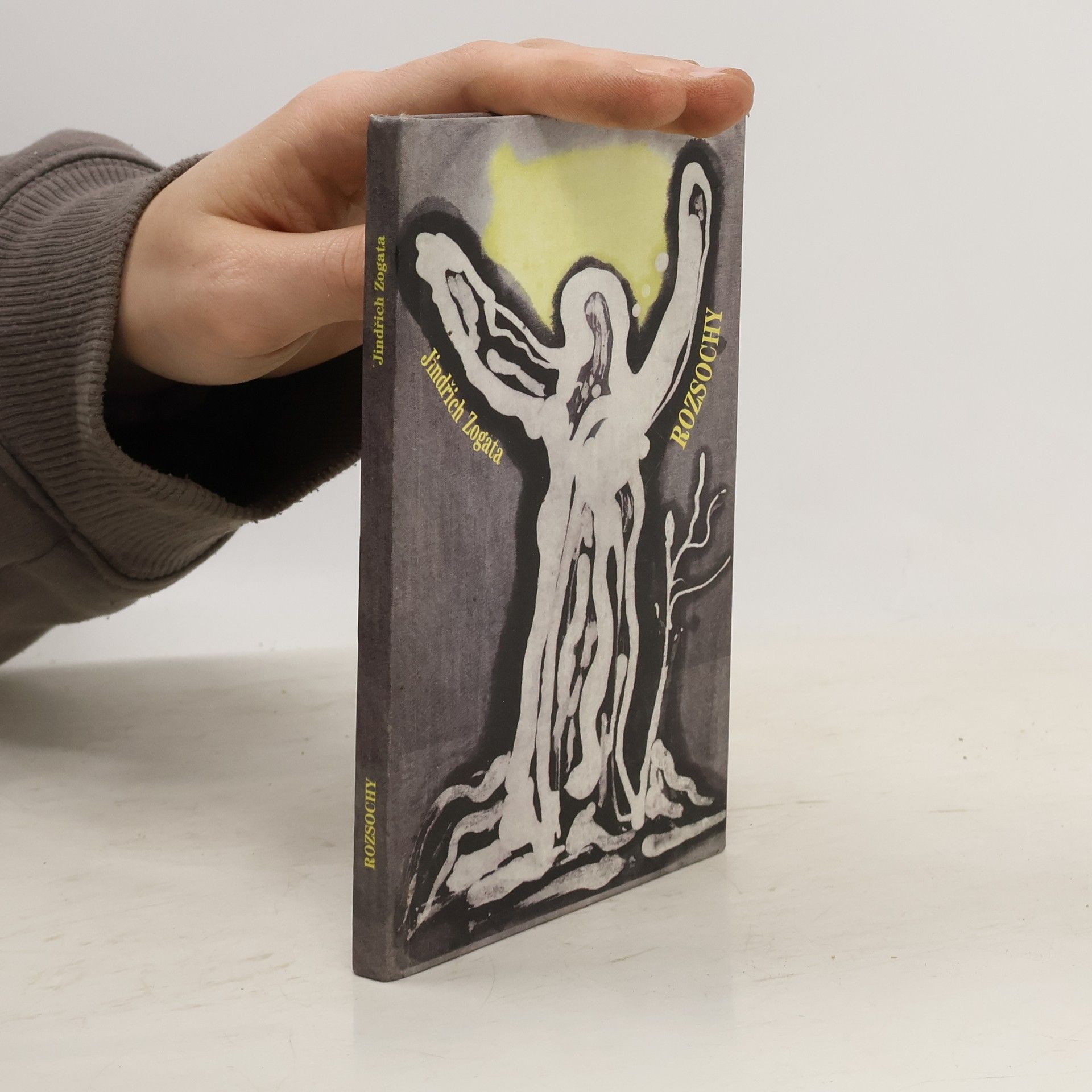 Jindřich Zogata Rozsochy