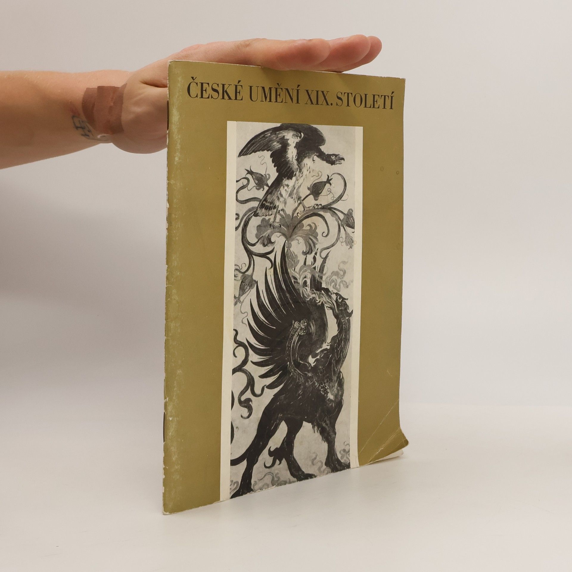 Olga Macková České umění XIX. století