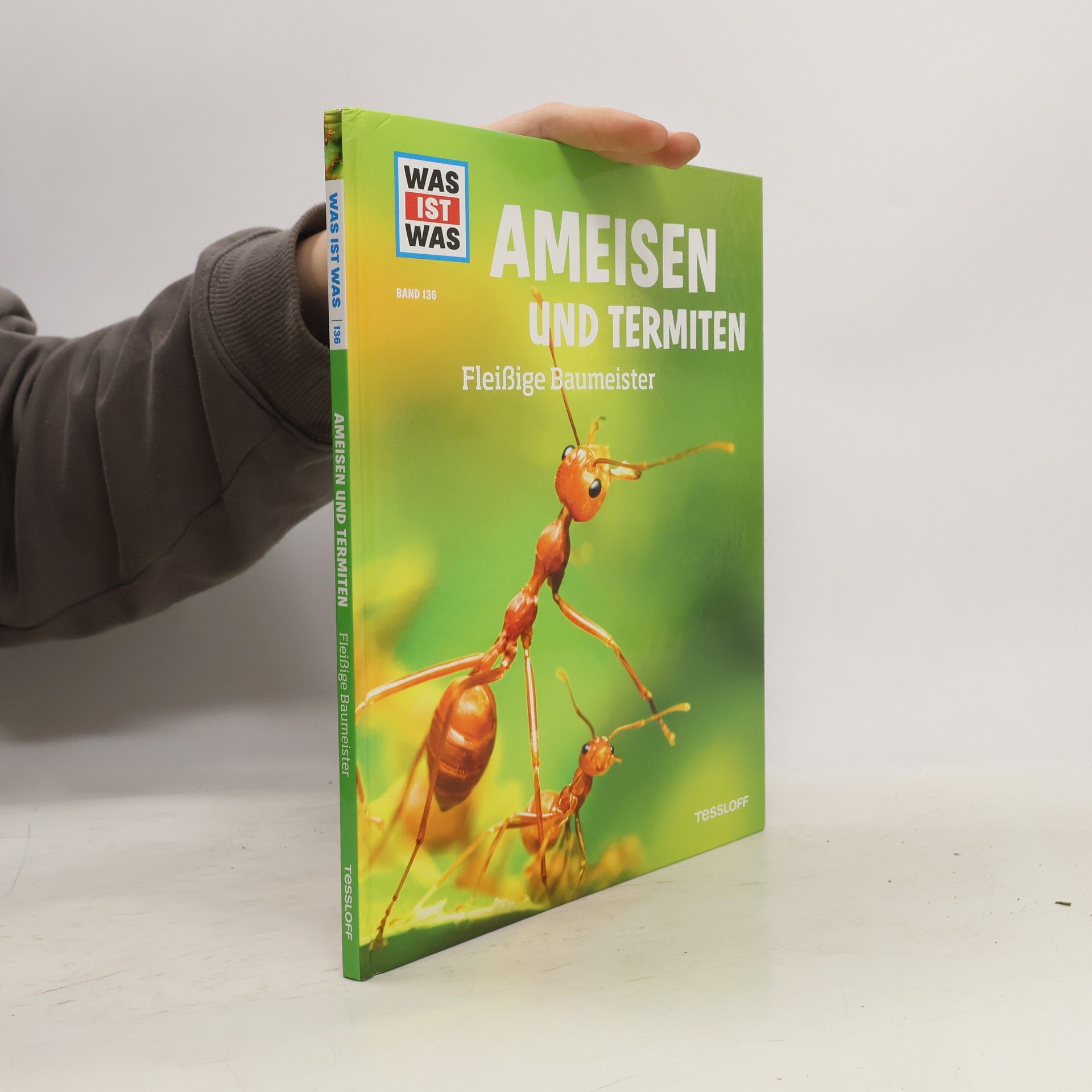 Ameisen und Termiten