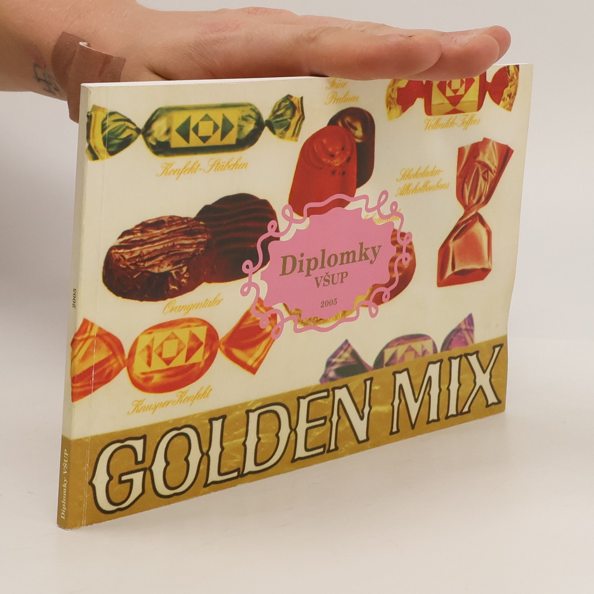 Autorenkollektiv Diplomky VŠUP 2005