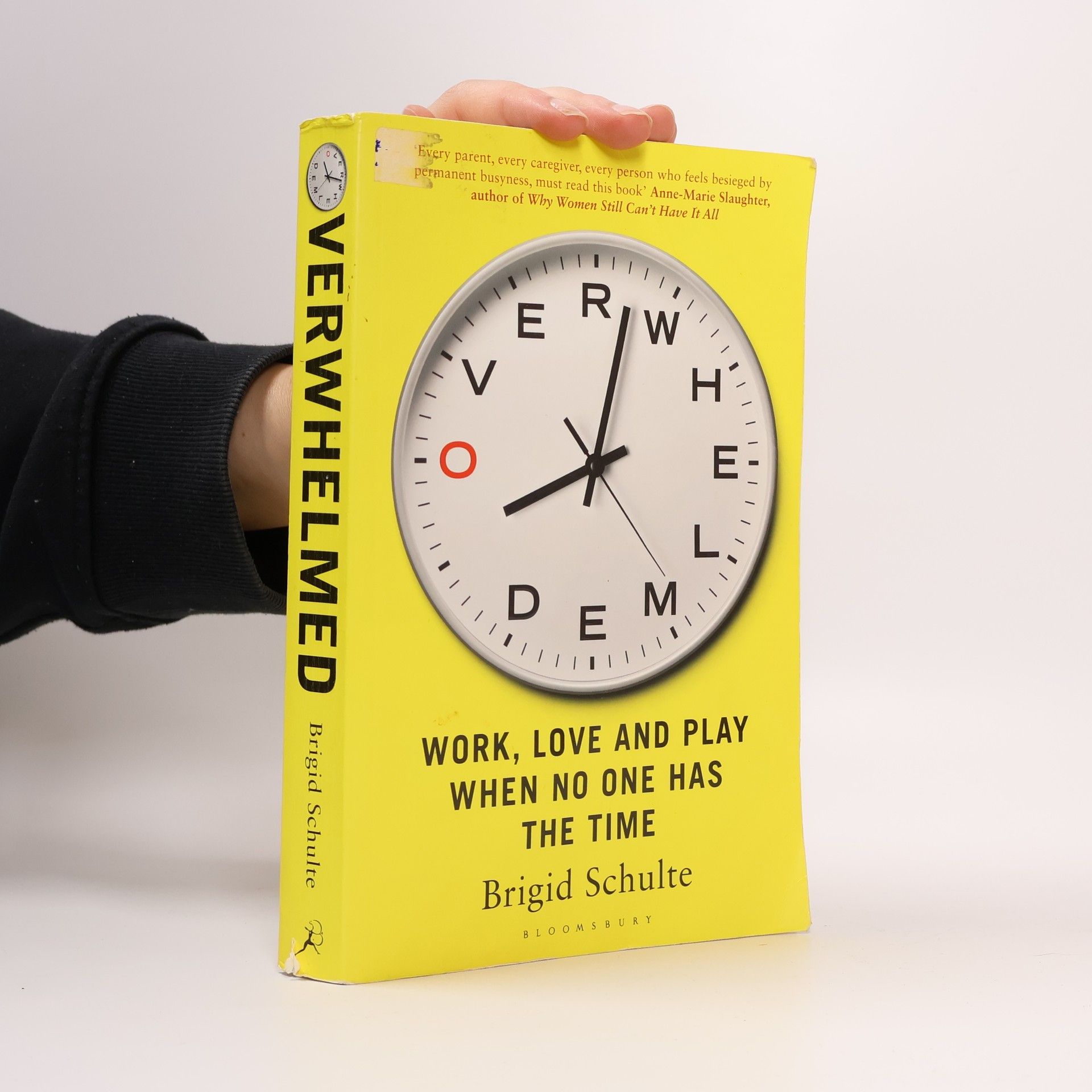 Brigid Schulte Overwhelmed