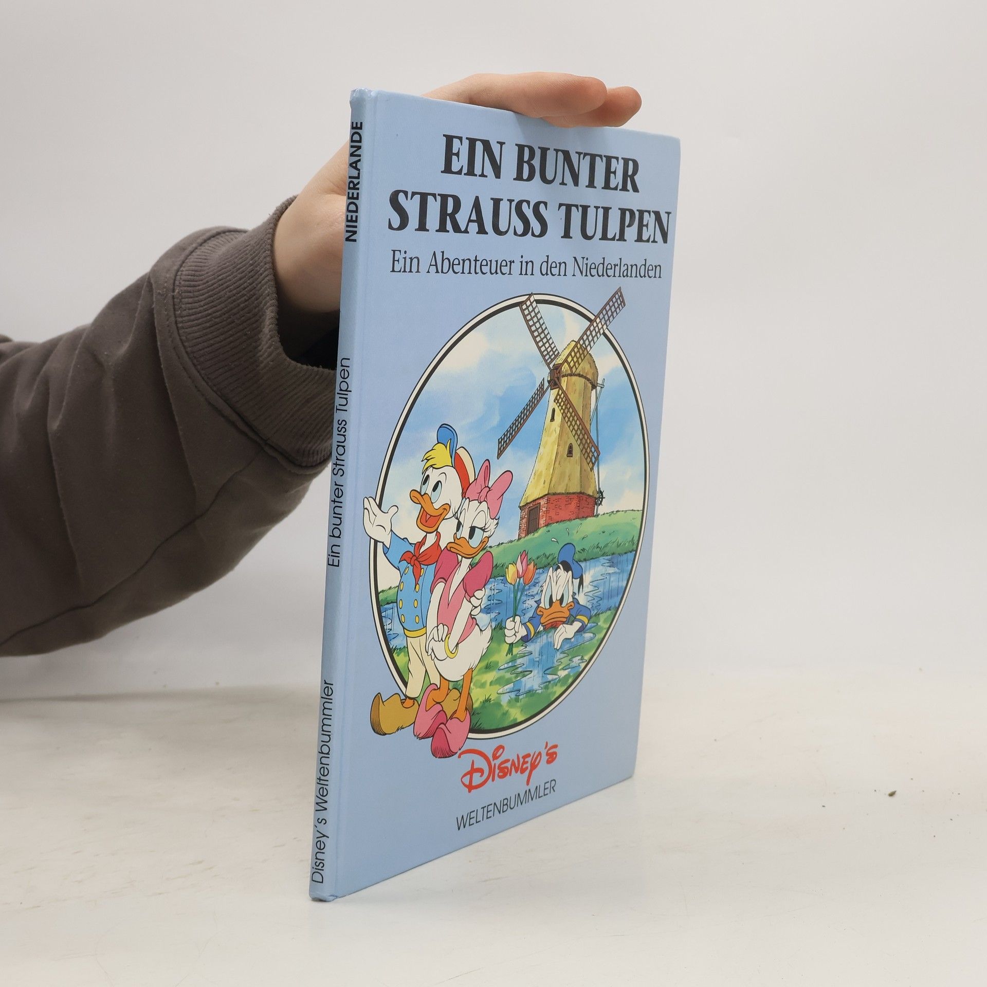 Various authors Ein bunter Strauss Tulpen