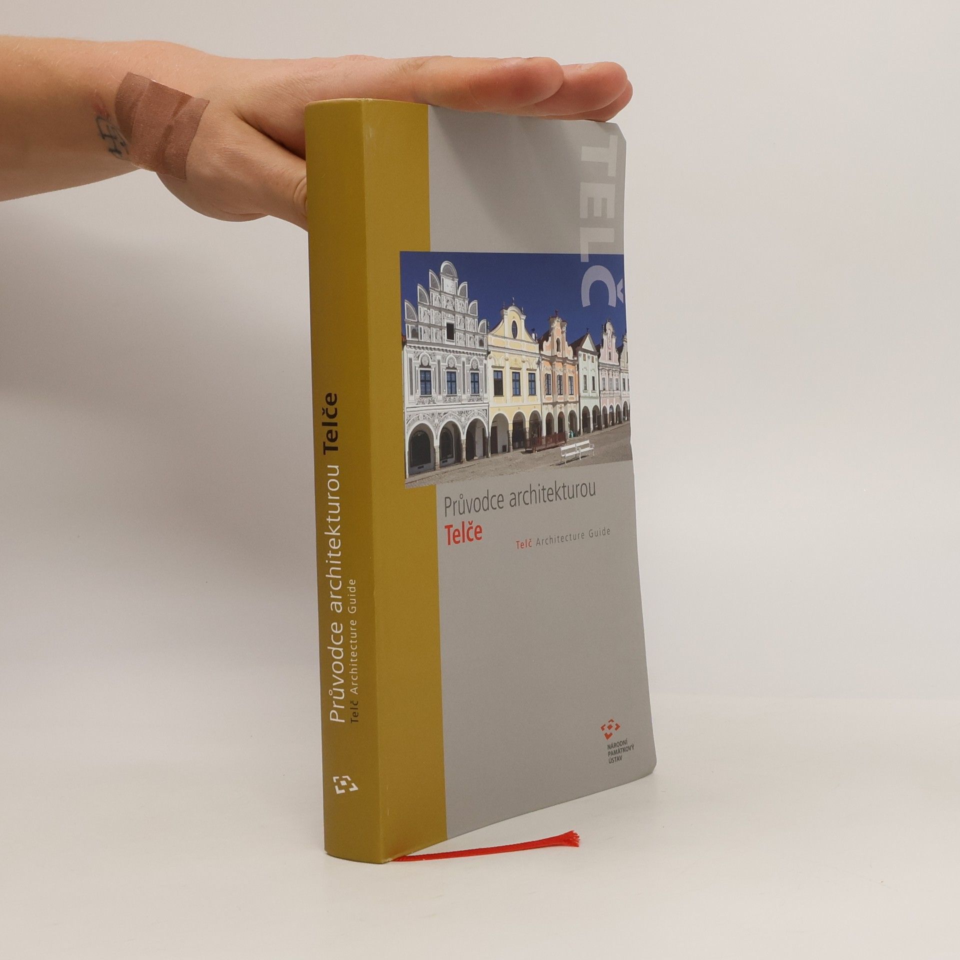 AA.VV. Průvodce architekturou Telče = Telč architecture guide