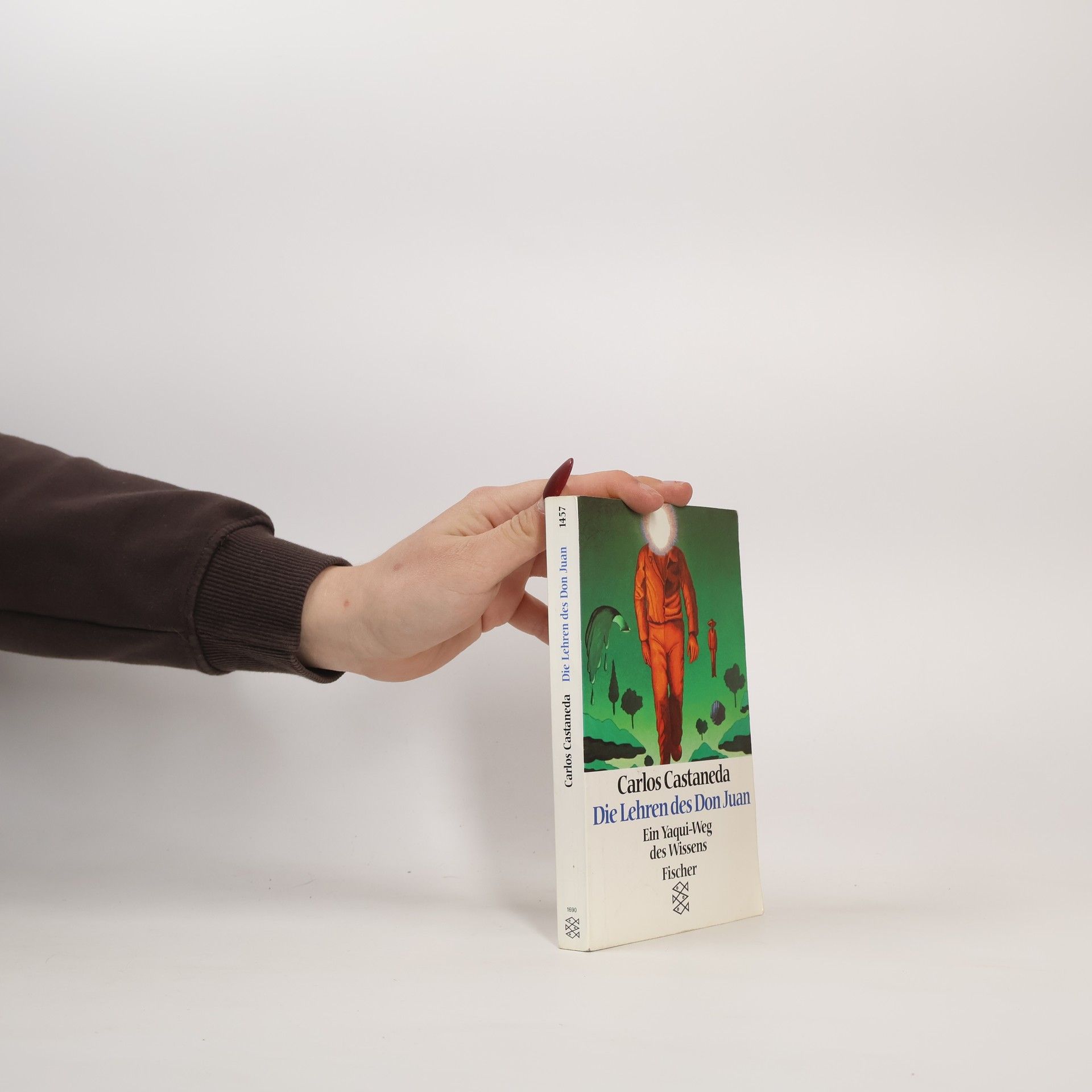 Carlos Castaneda Die Lehren des Don Juan