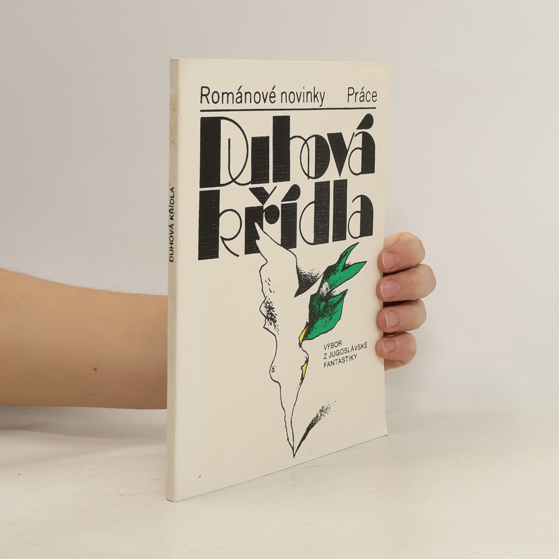 Kolektiv autorů Duhová křídla