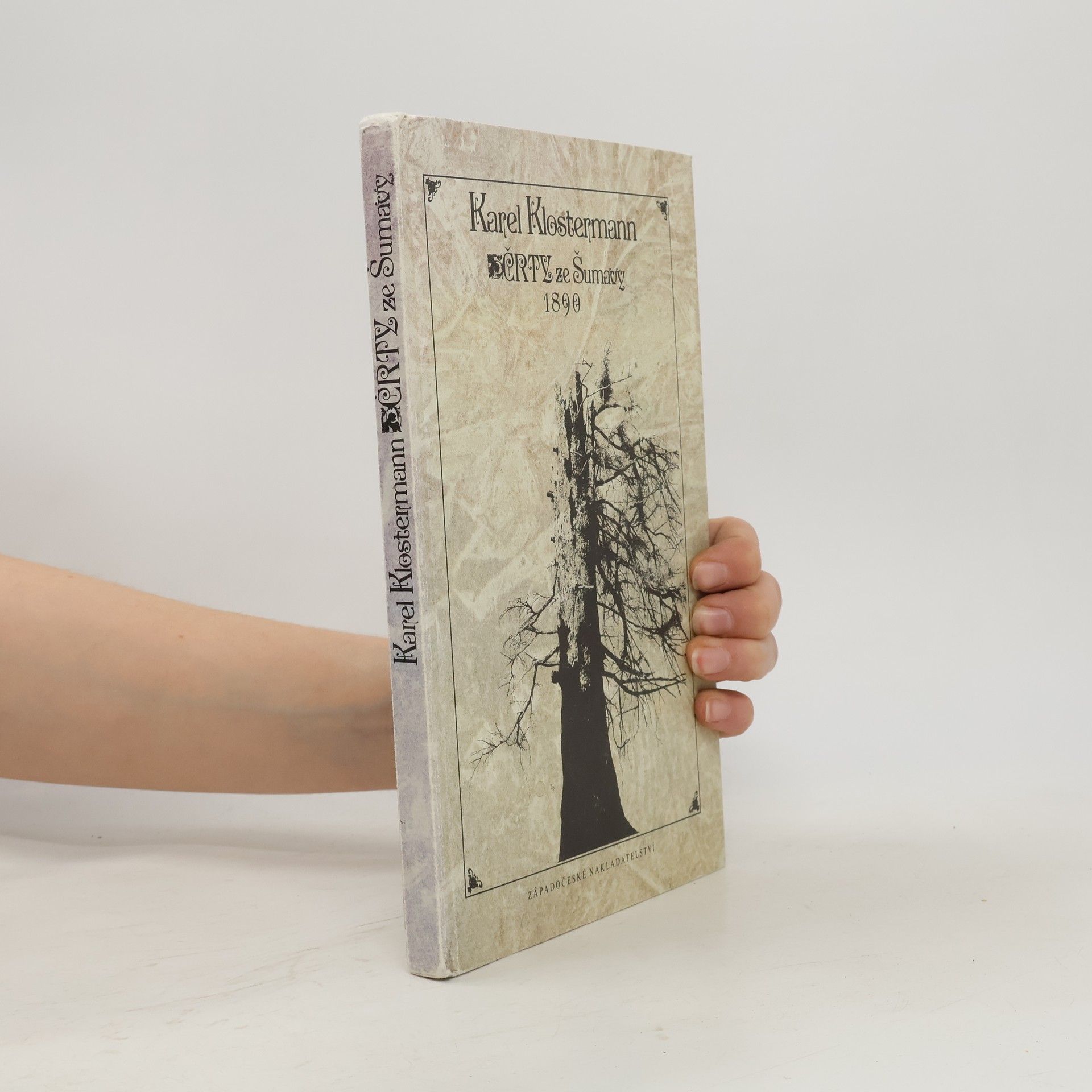 Črty ze Šumavy 1890