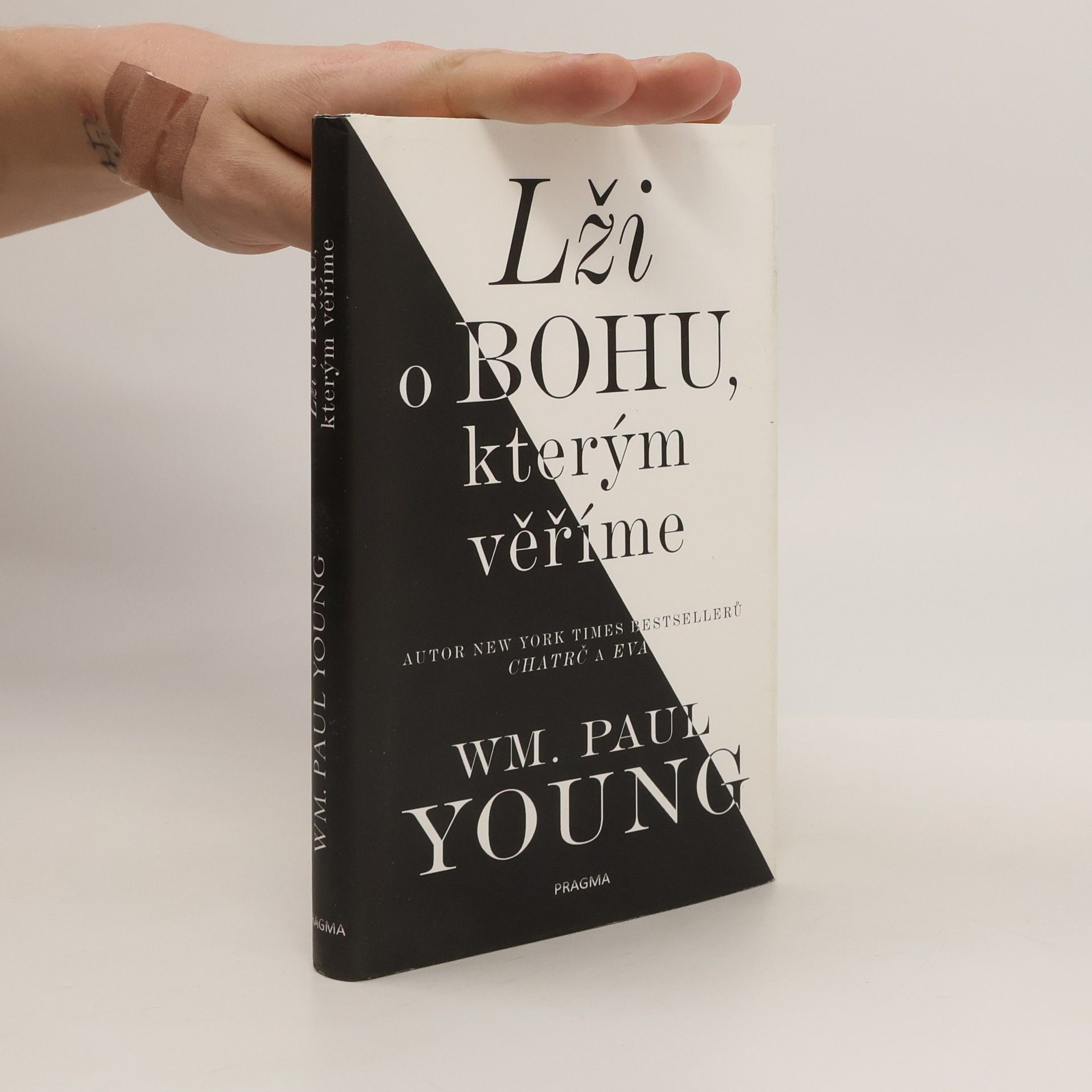 William Paul Young Lži o Bohu, kterým věříme