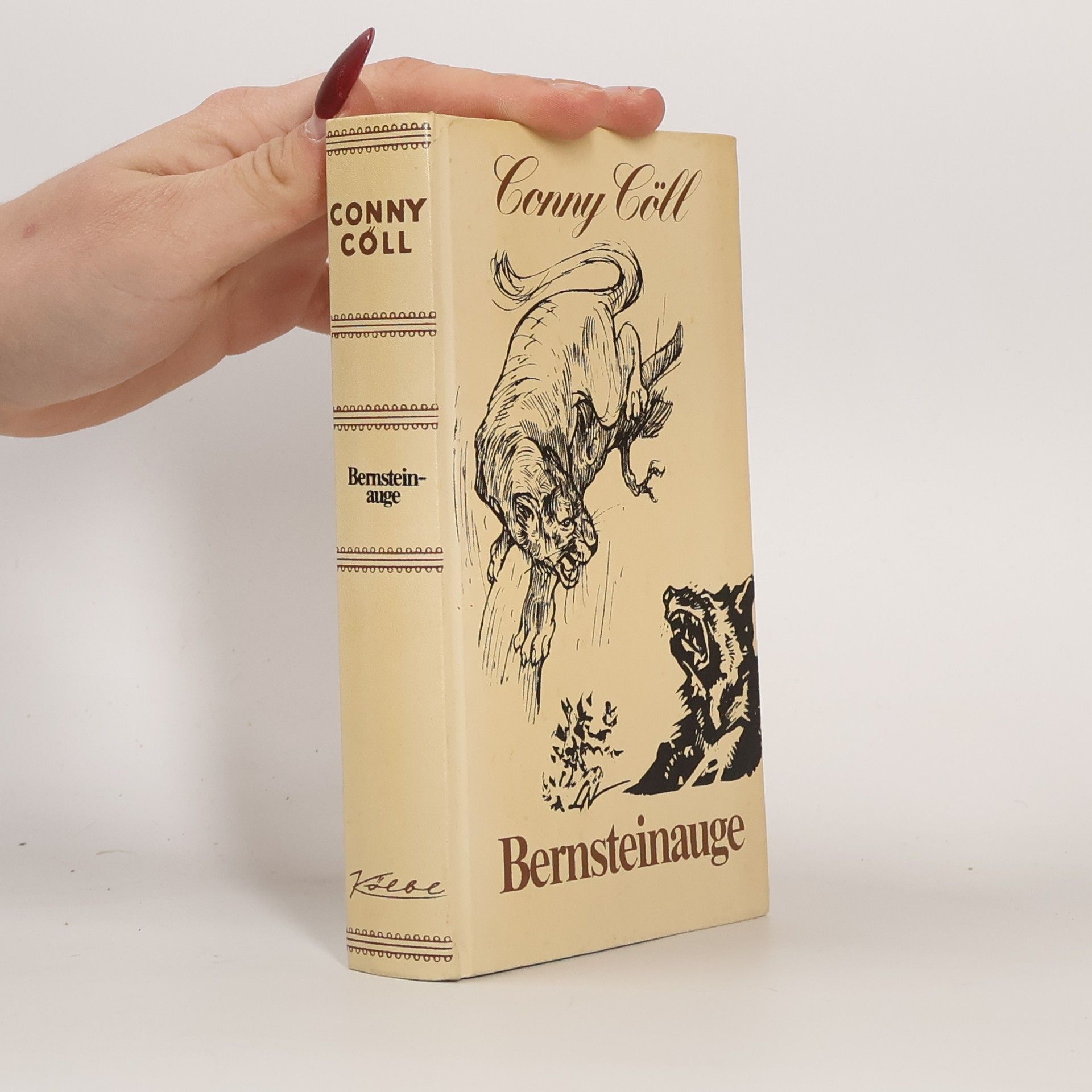 Conny Cöll Bernsteinauge