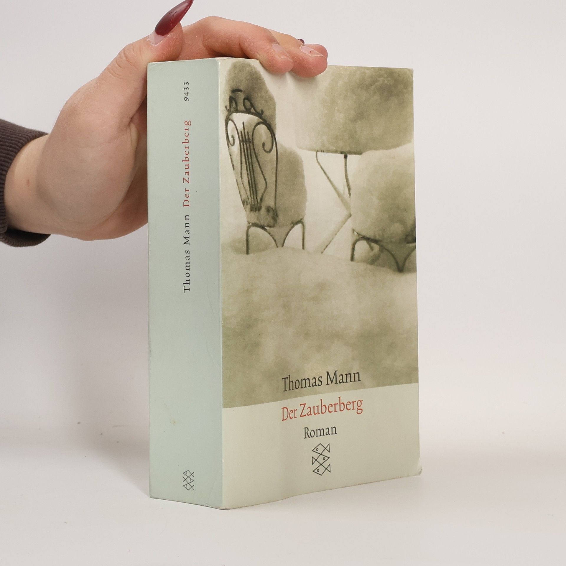 Thomas Mann Der Zauberberg